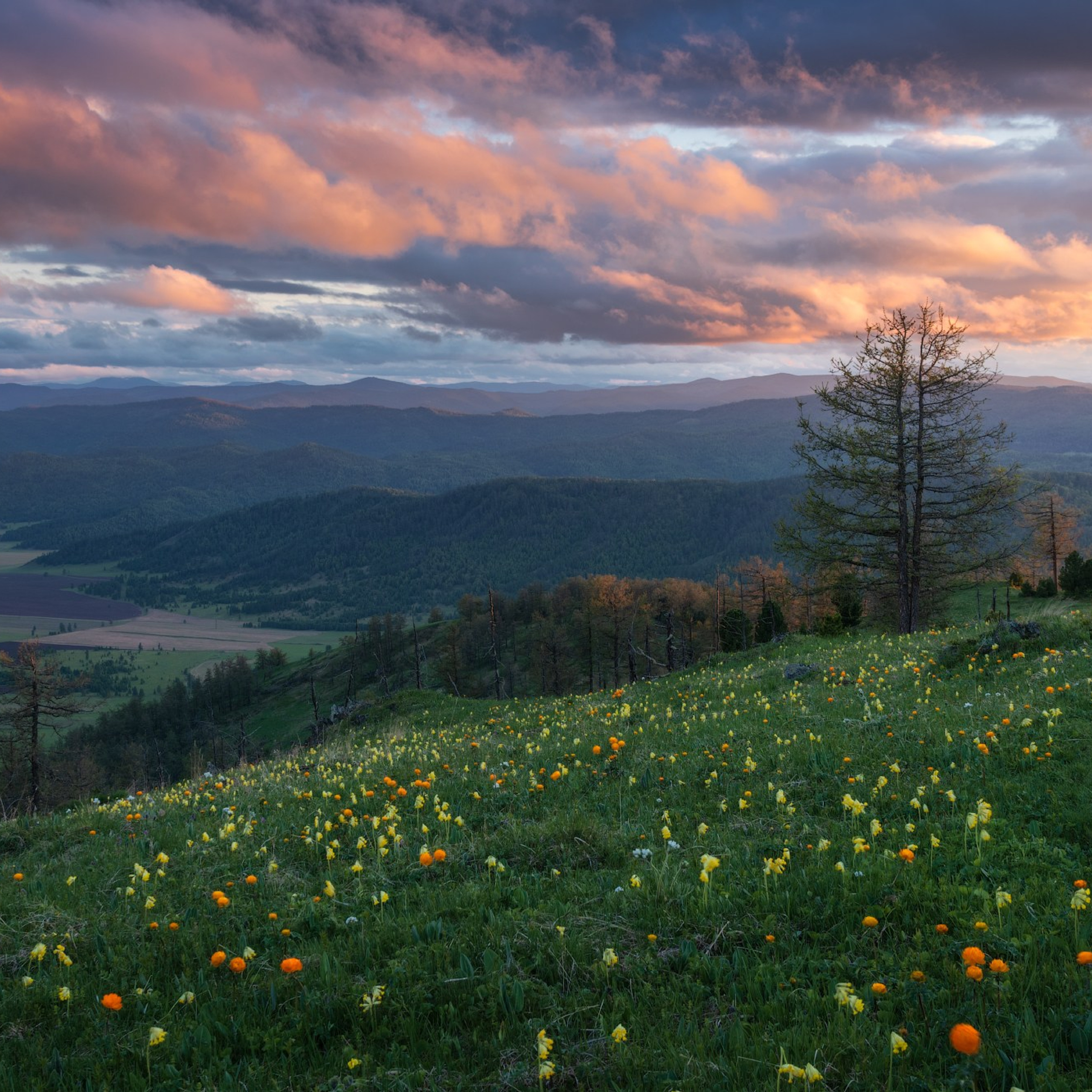 Фототур по Алтаю — Огоньки среднегорья и долина реки Аргут. Профессиональный пейзажный фотограф Алёна Рубан