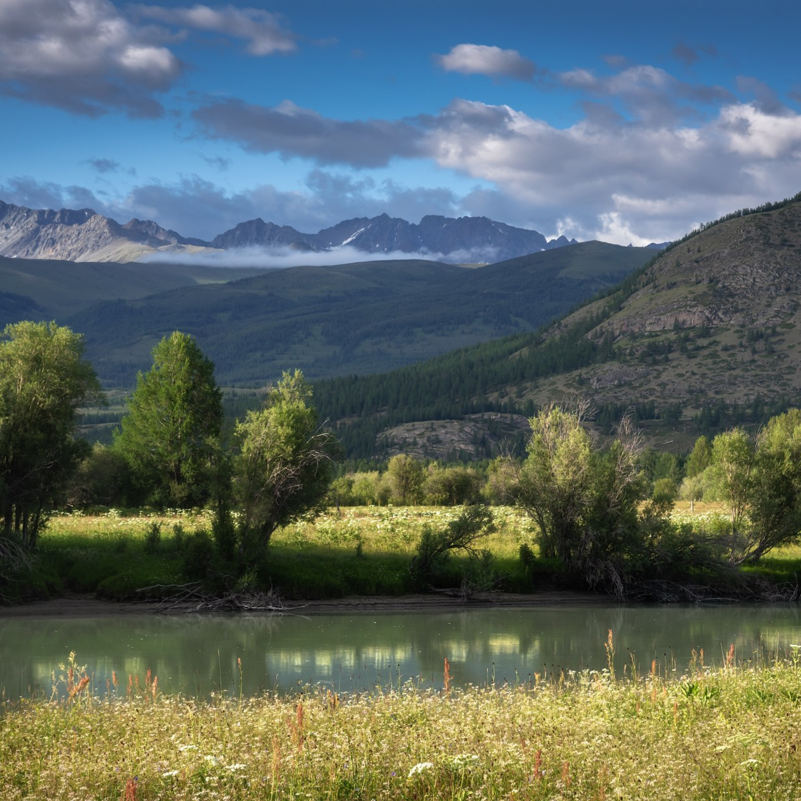 Фототур по Алтаю — Огоньки среднегорья и долина реки Аргут. Профессиональный пейзажный фотограф Алёна Рубан