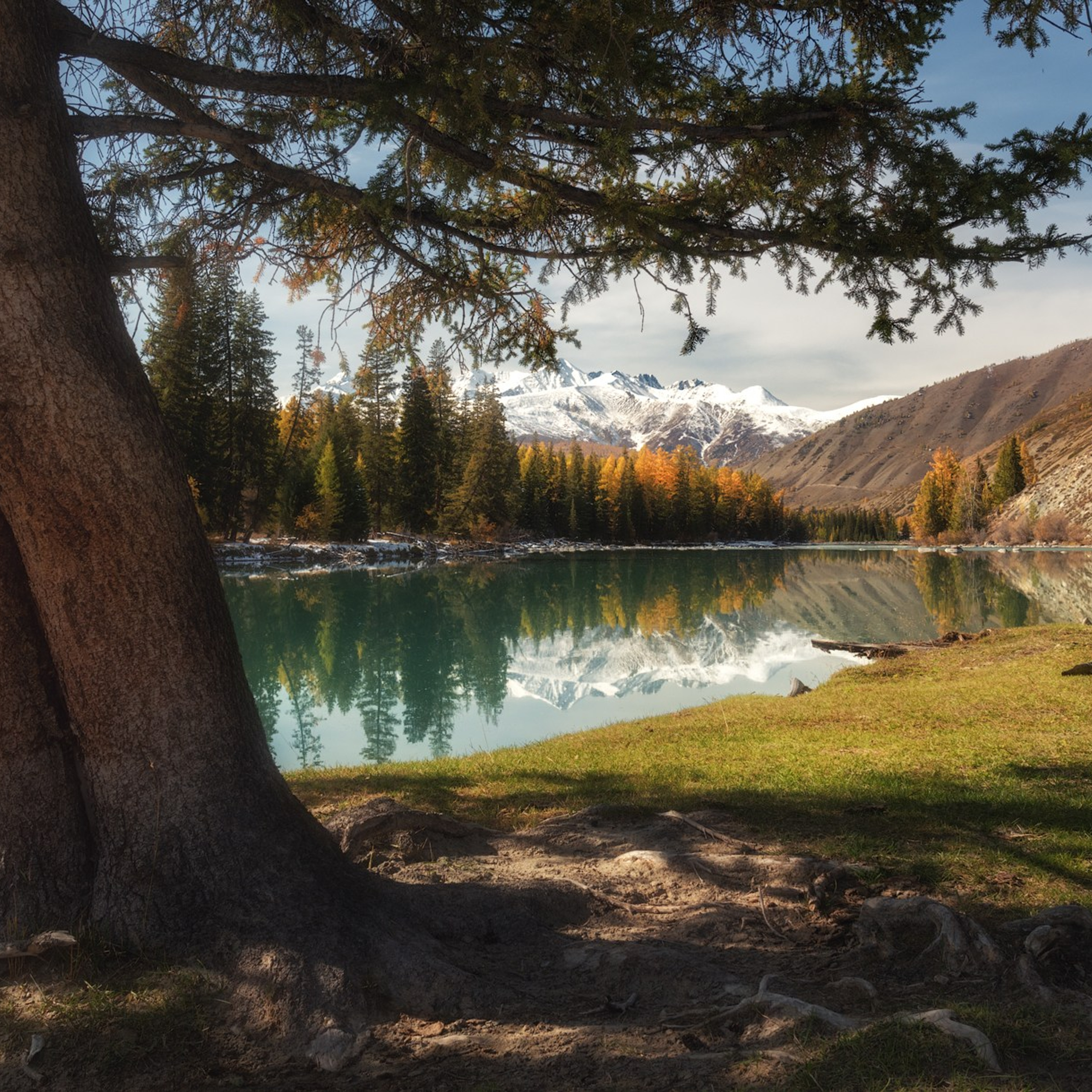 Фототур по осеннему Алтаю «Встречаем предзимье». Профессиональный пейзажный фотограф Алёна Рубан