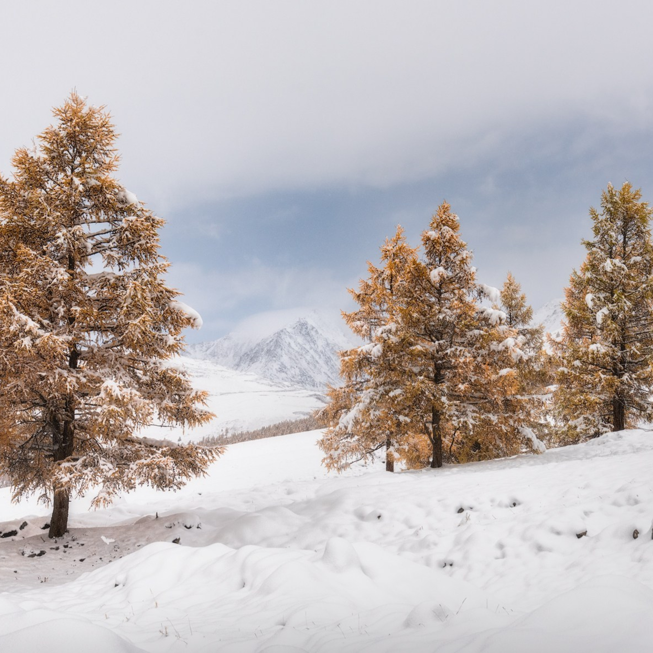Фототур по осеннему Алтаю «Встречаем предзимье». Профессиональный пейзажный фотограф Алёна Рубан