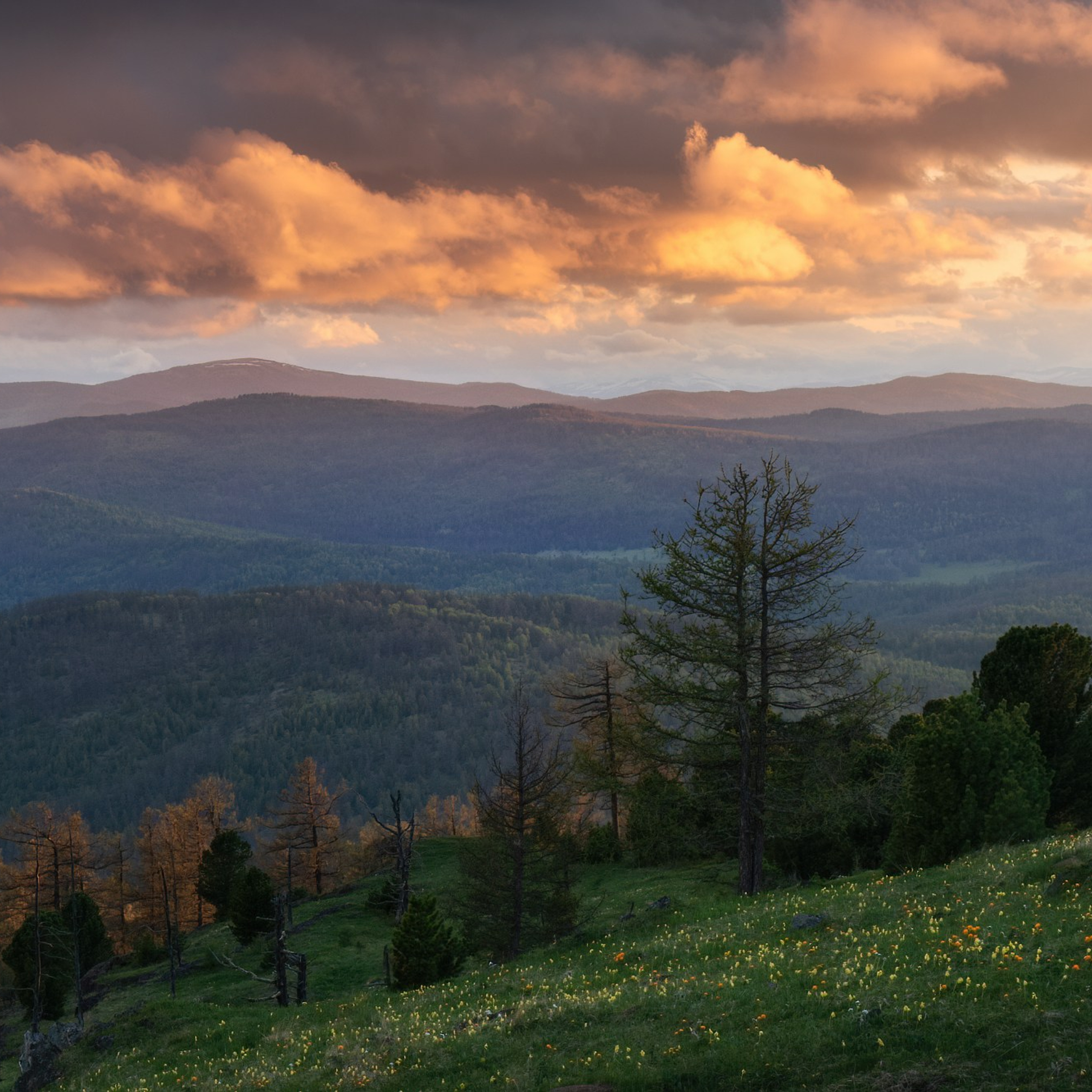 Фототур по Алтаю — Огоньки среднегорья и долина реки Аргут. Профессиональный пейзажный фотограф Алёна Рубан