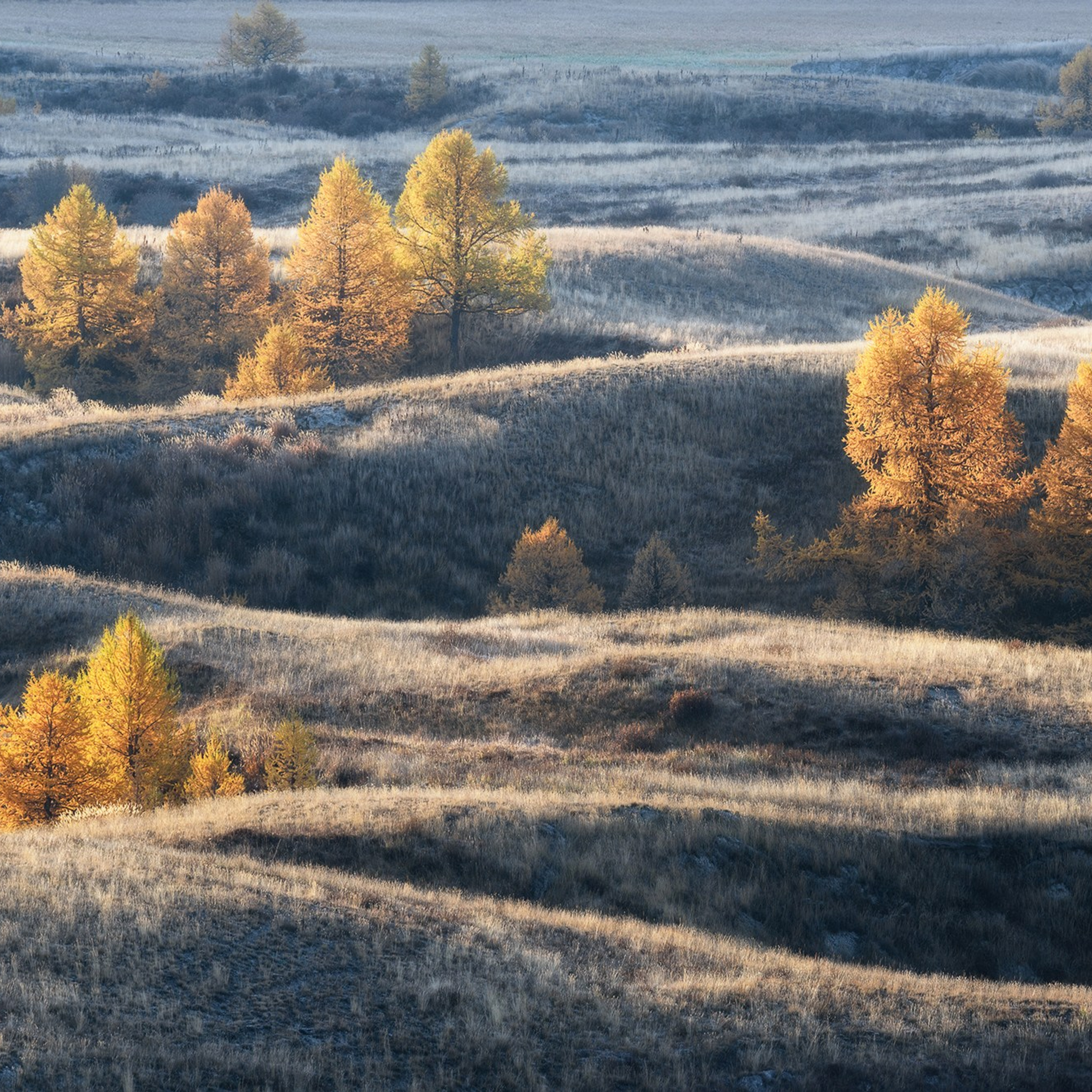 Фототур по Алтаю «В гости к ледникам». Профессиональный пейзажный фотограф Алёна Рубан