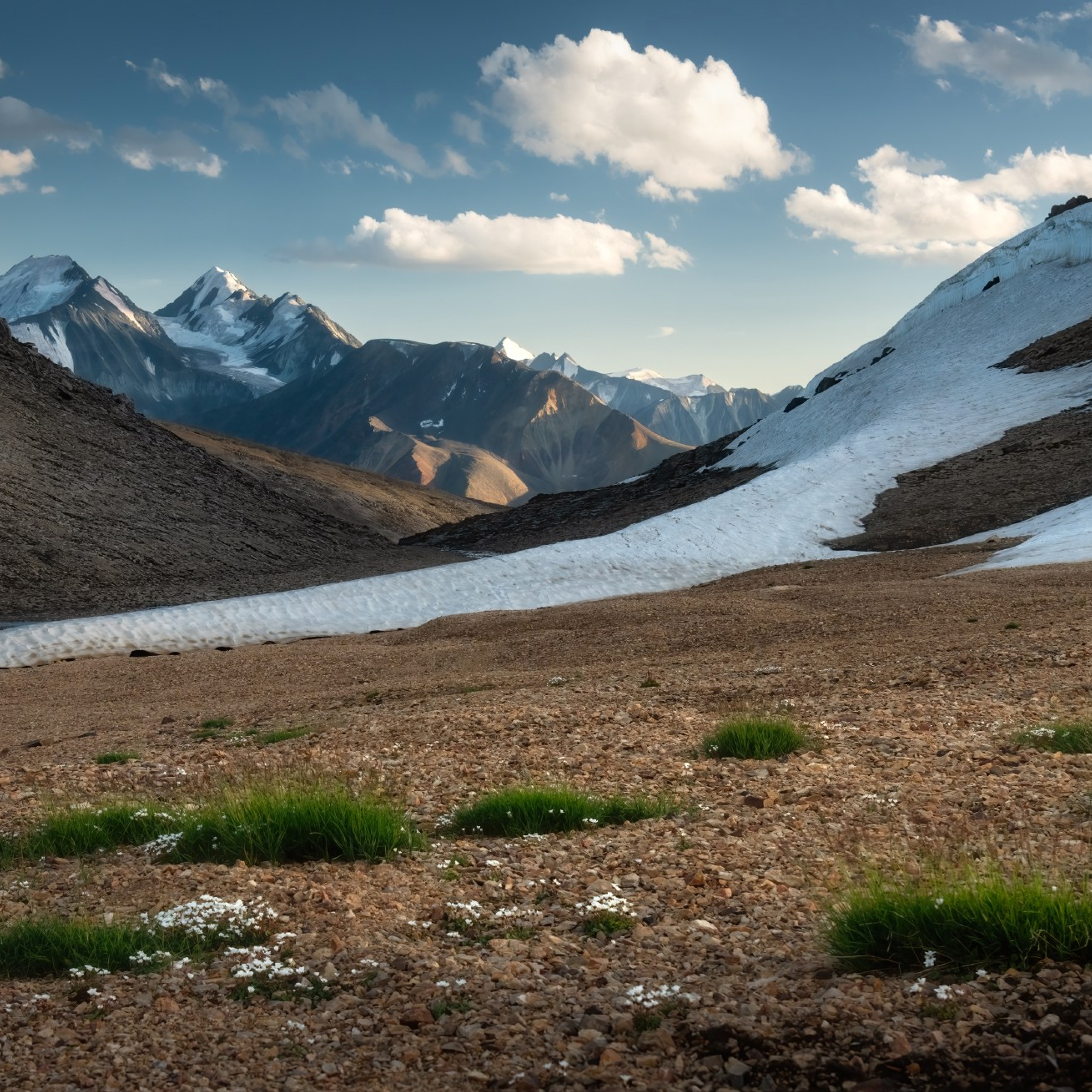 Фототур «Летнее высокогорье Алтая». Профессиональный пейзажный фотограф Алёна Рубан