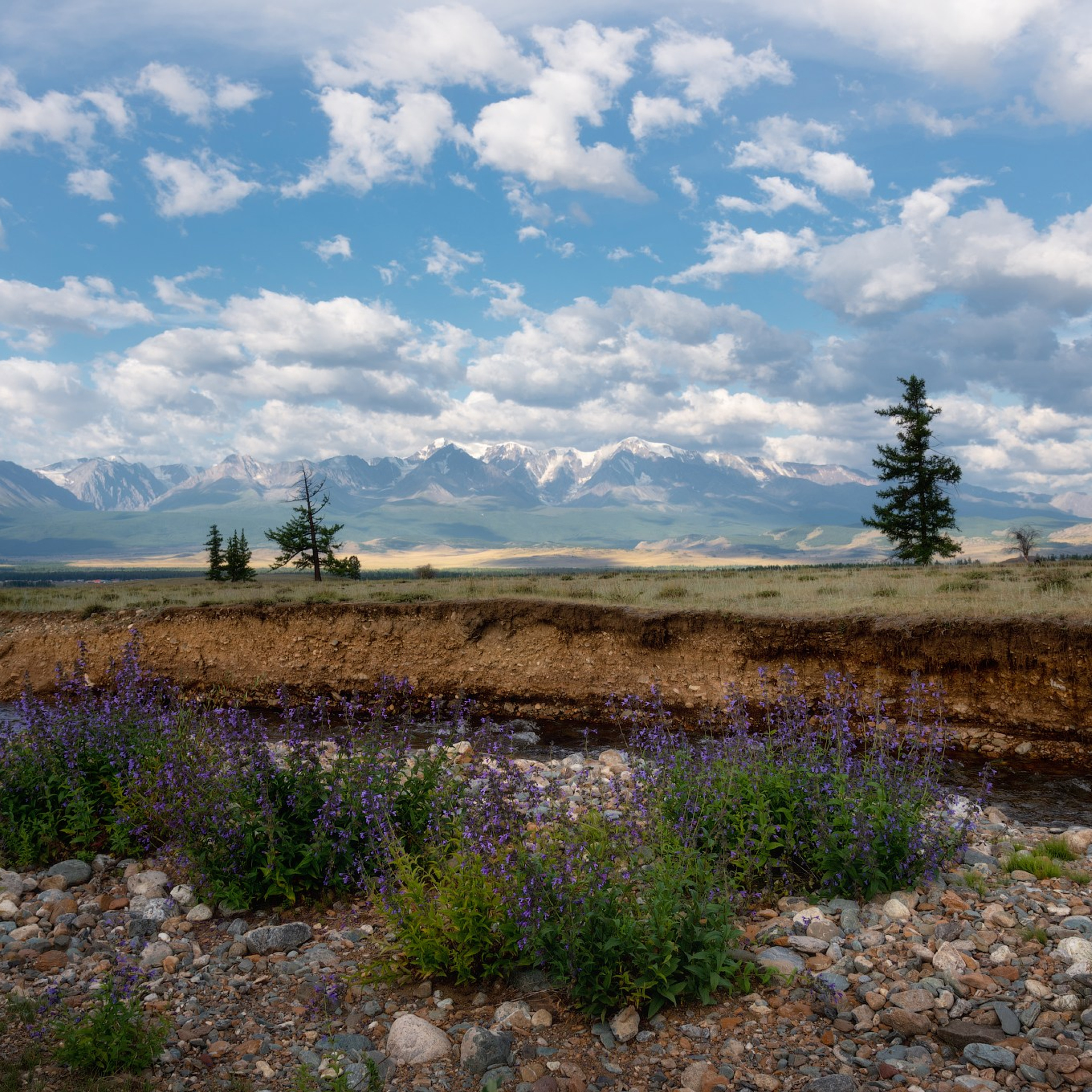 Фототур «Летнее высокогорье Алтая». Профессиональный пейзажный фотограф Алёна Рубан