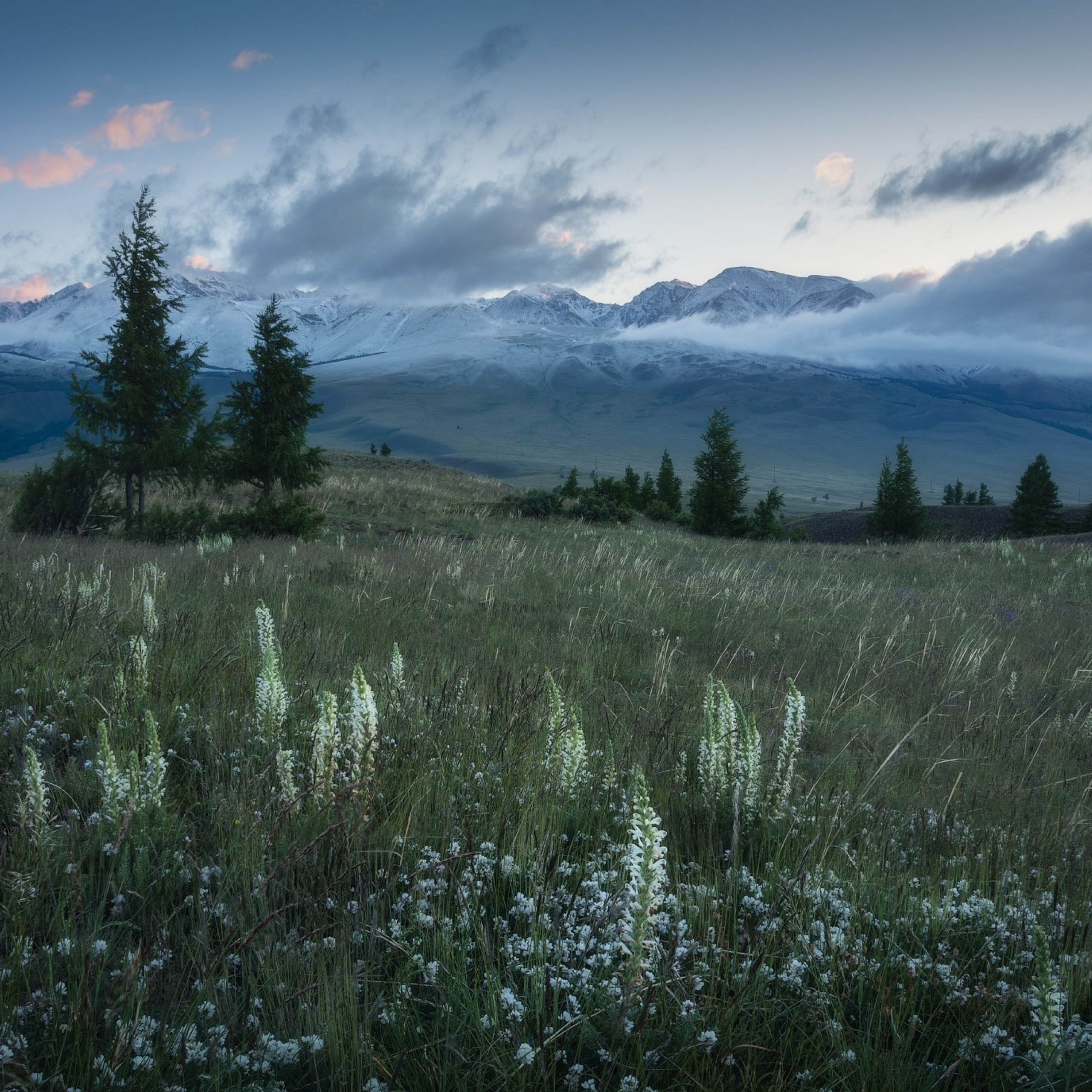 Фототур по Алтаю — Огоньки среднегорья и долина реки Аргут. Профессиональный пейзажный фотограф Алёна Рубан