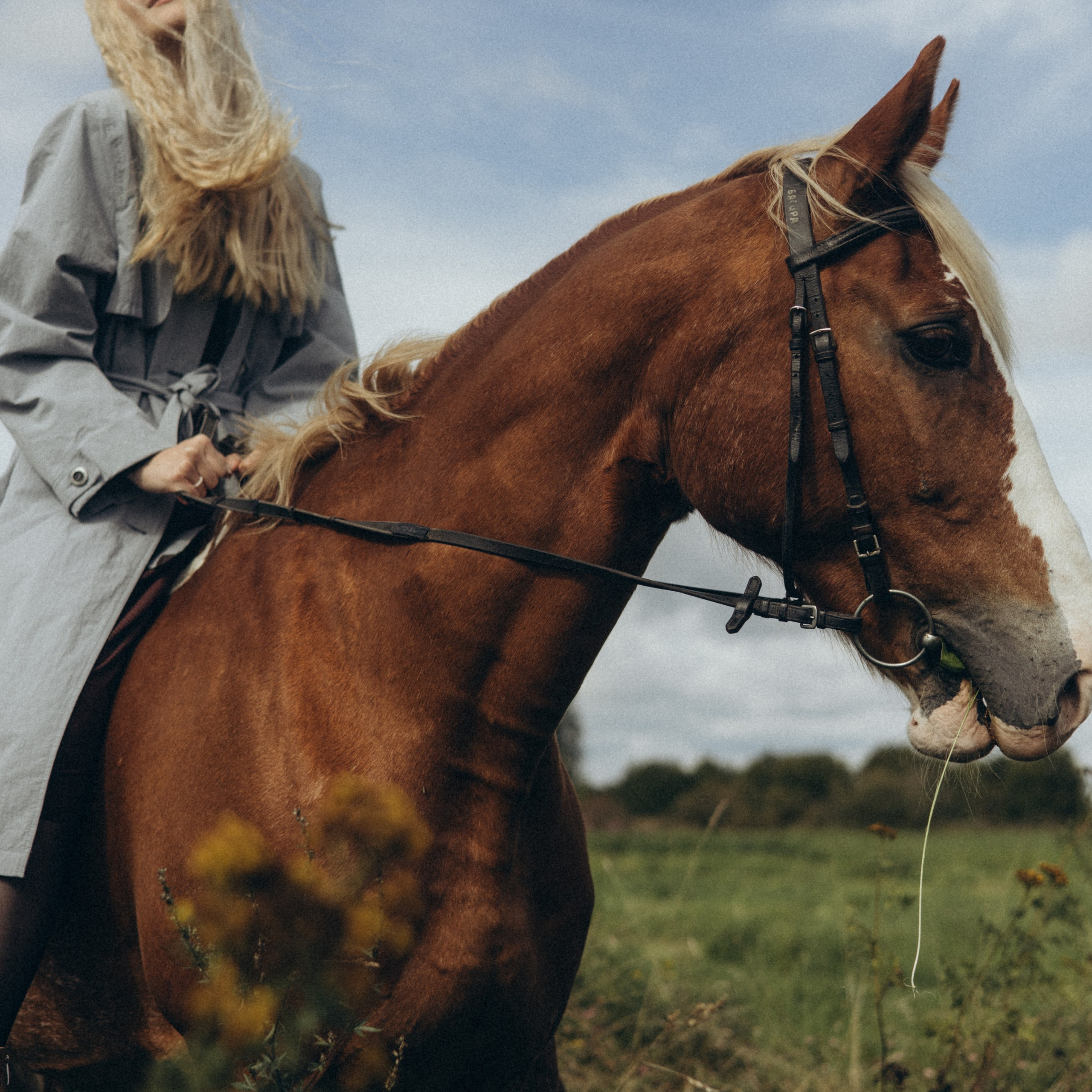 Отзывы. Главная