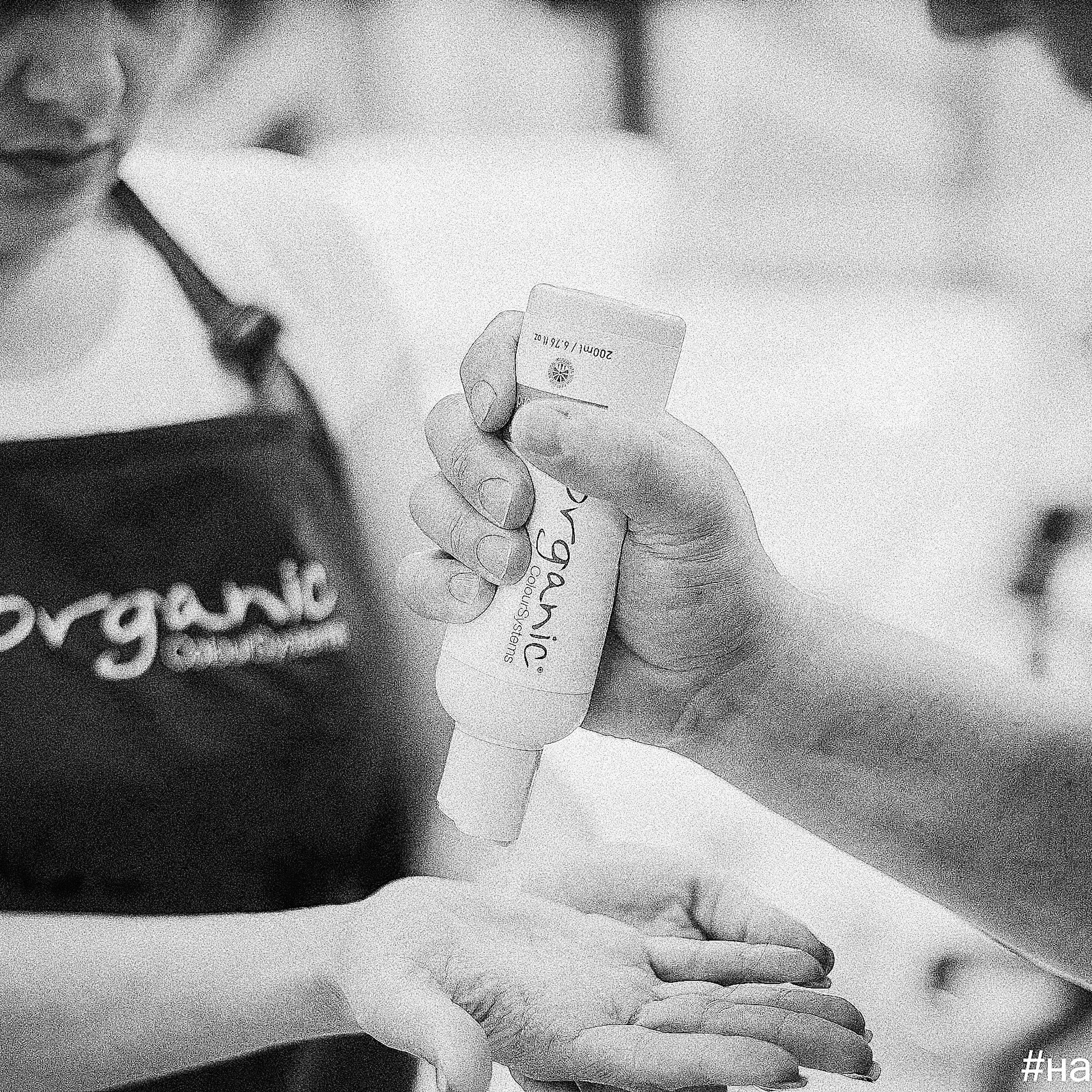 Фотоотчёт с семинара «Знакомство с брендом #наволнеорганик». Артём Савиных — профессиональный фотограф в Москве | Репортажи, свадьбы, портреты