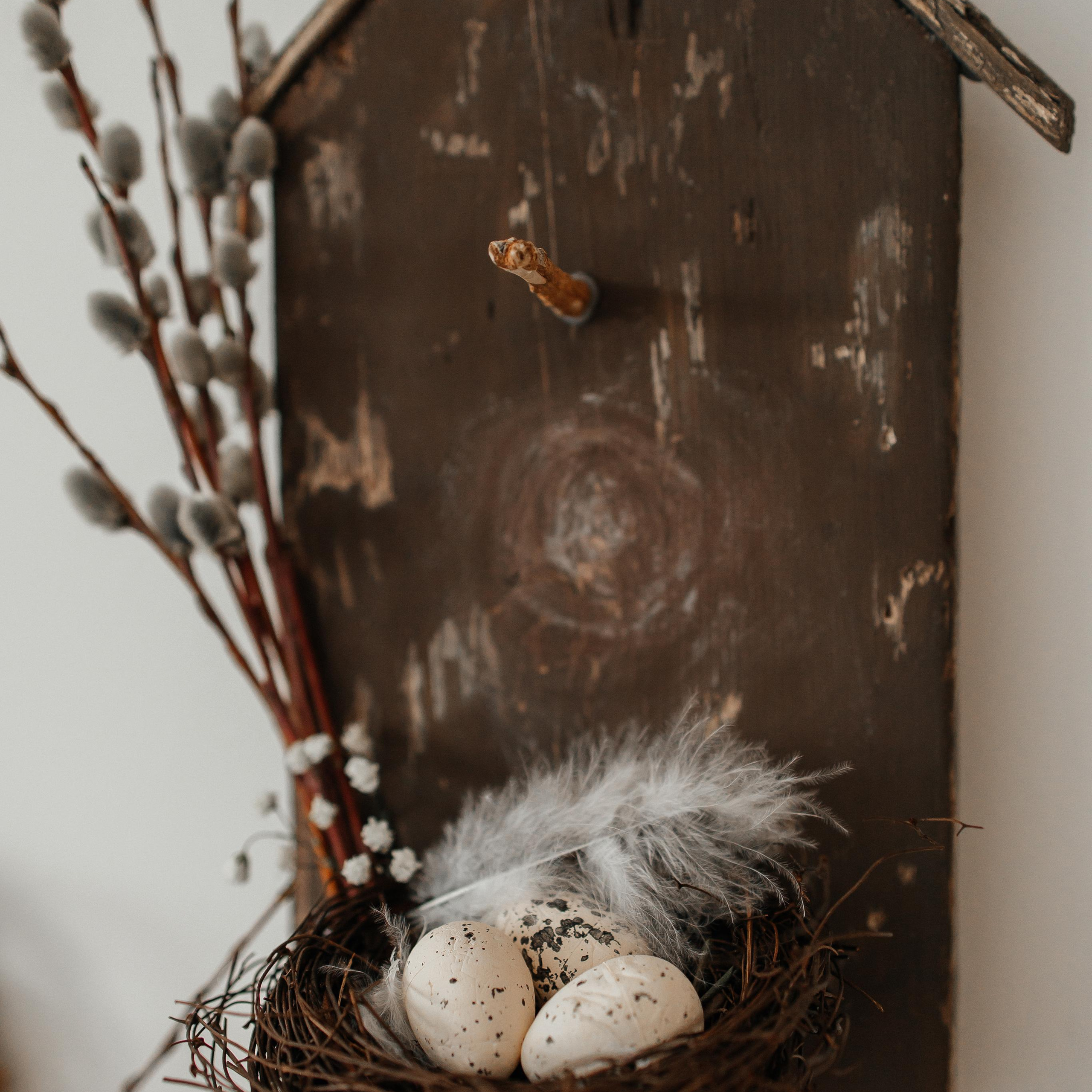 Пасхальный фотодень. First-foto.ru