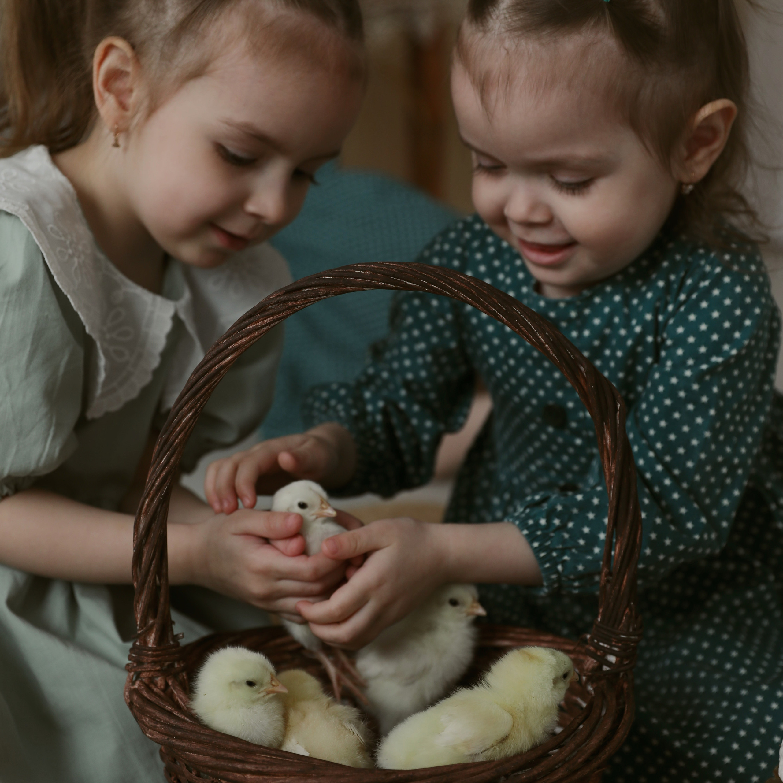 Отзывы. First-foto.ru