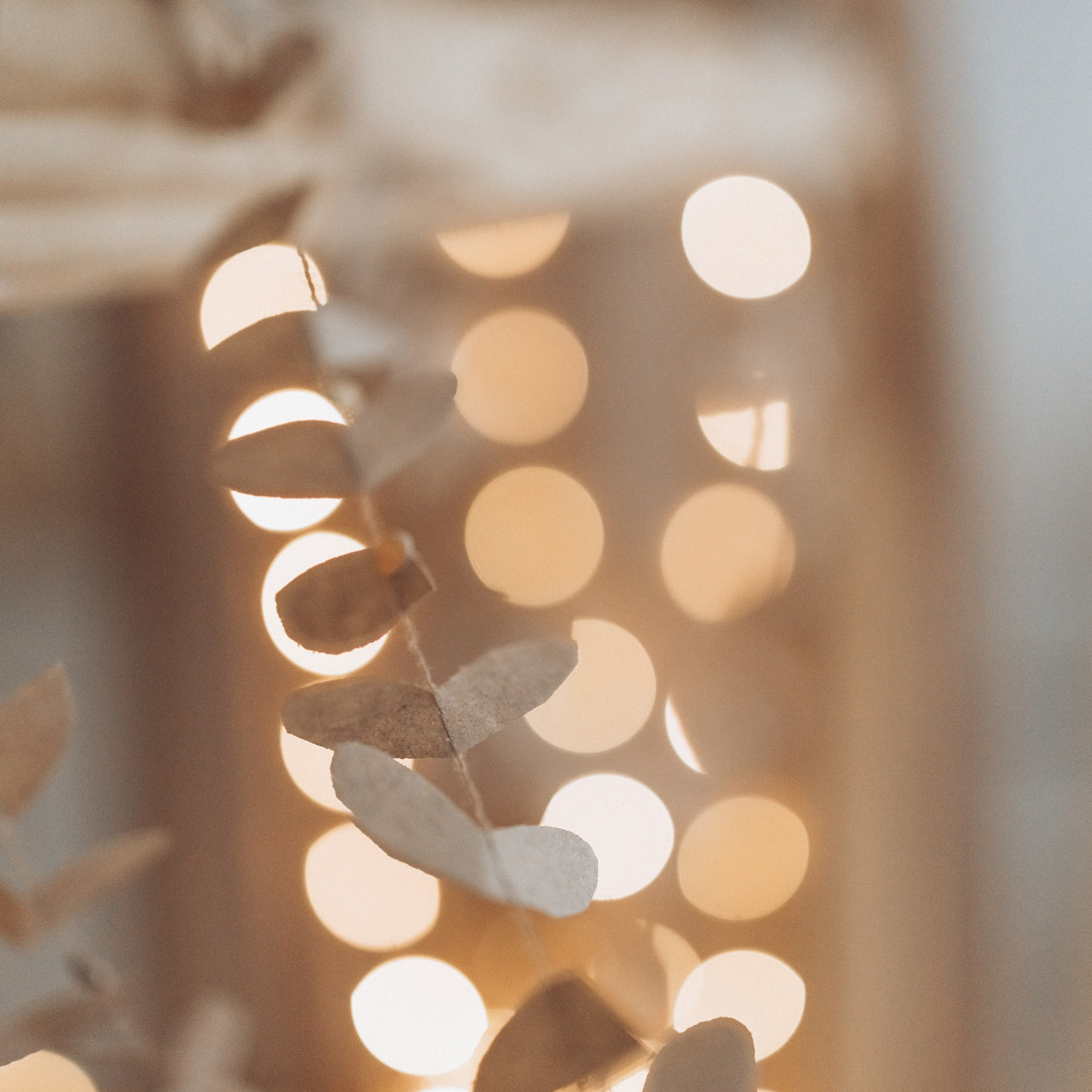 Отзывы. First-foto.ru