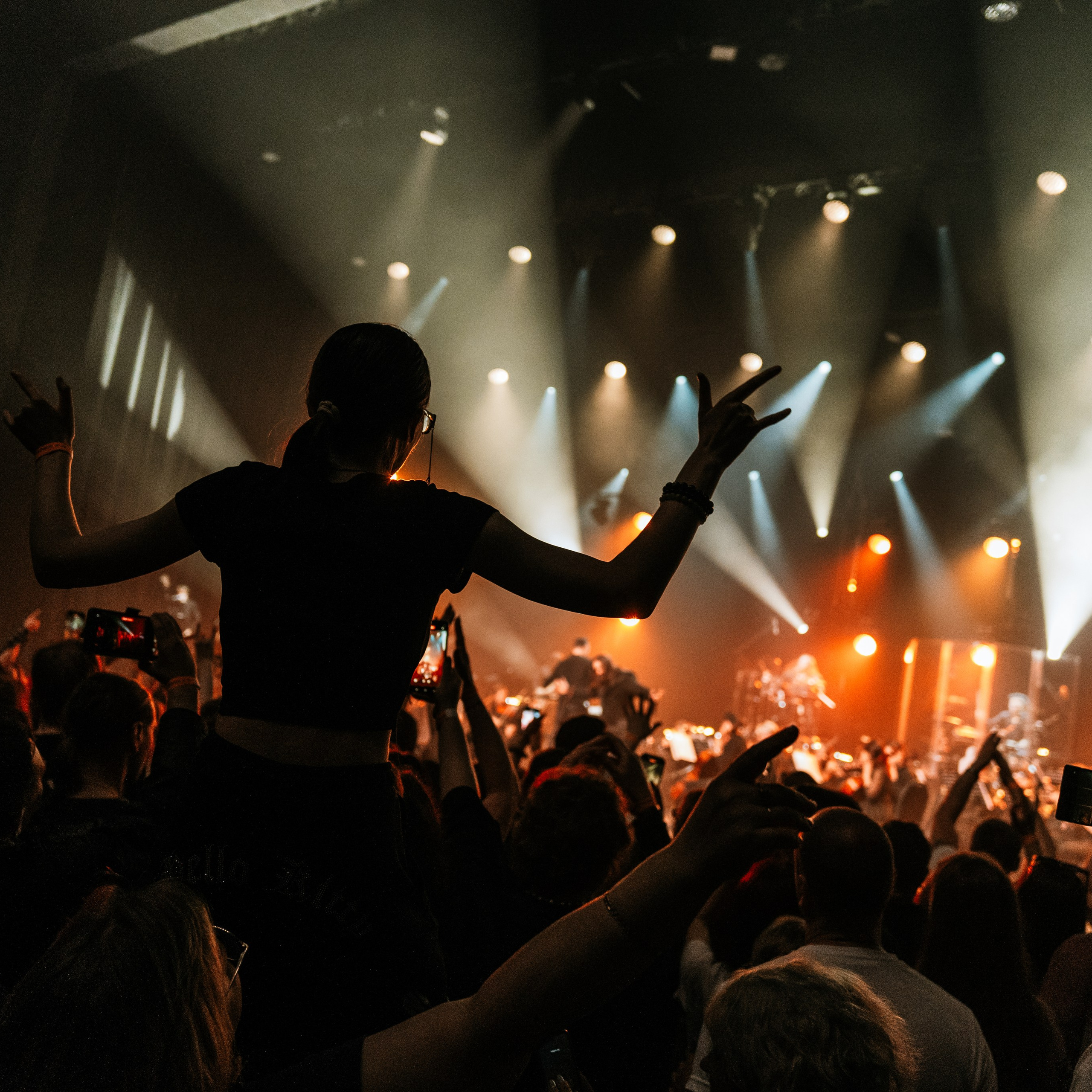 Отзывы. Магия музыки в кадре: Концертная Фотография