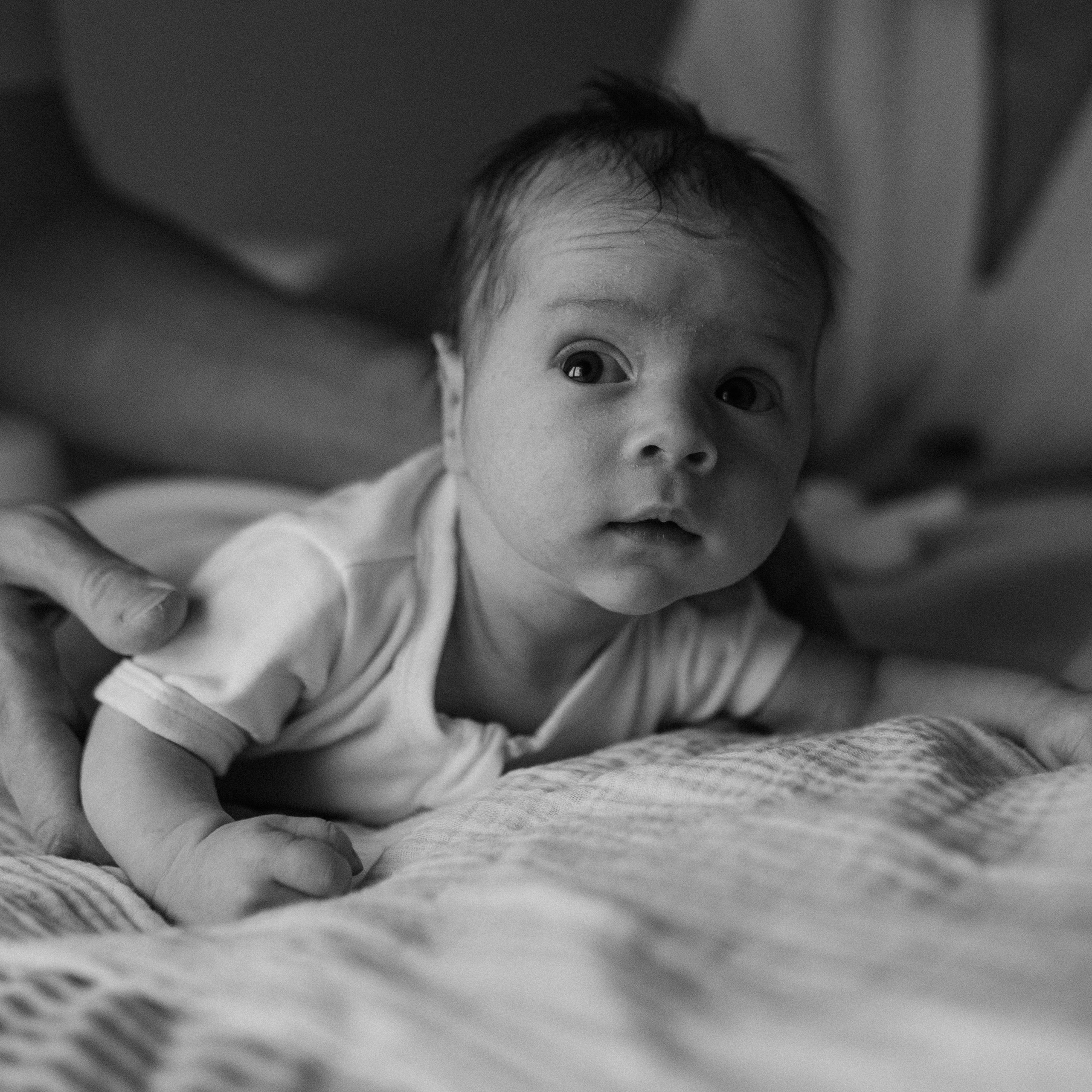 Даша, Ваня, Лео