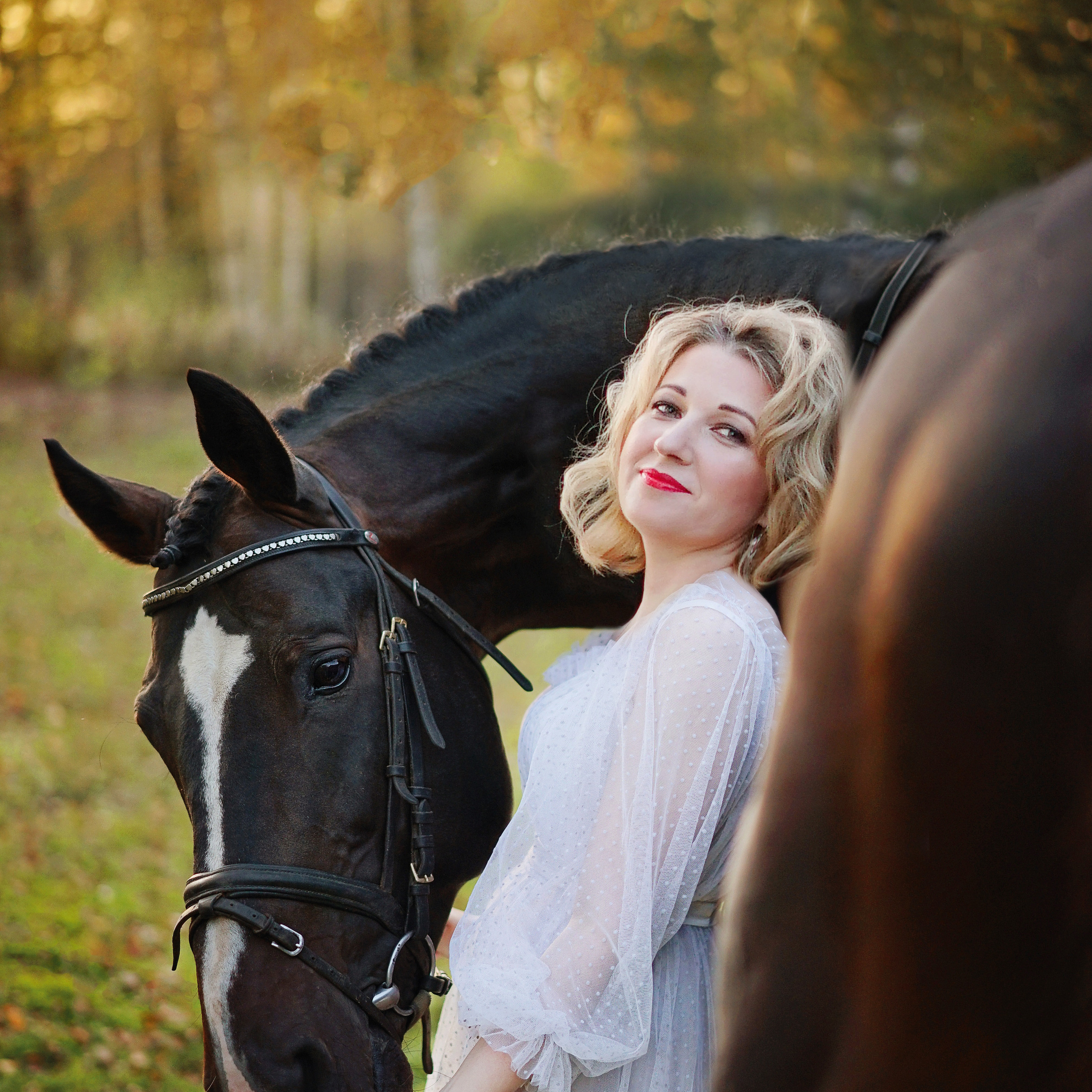 Фотосессии с лошадьми