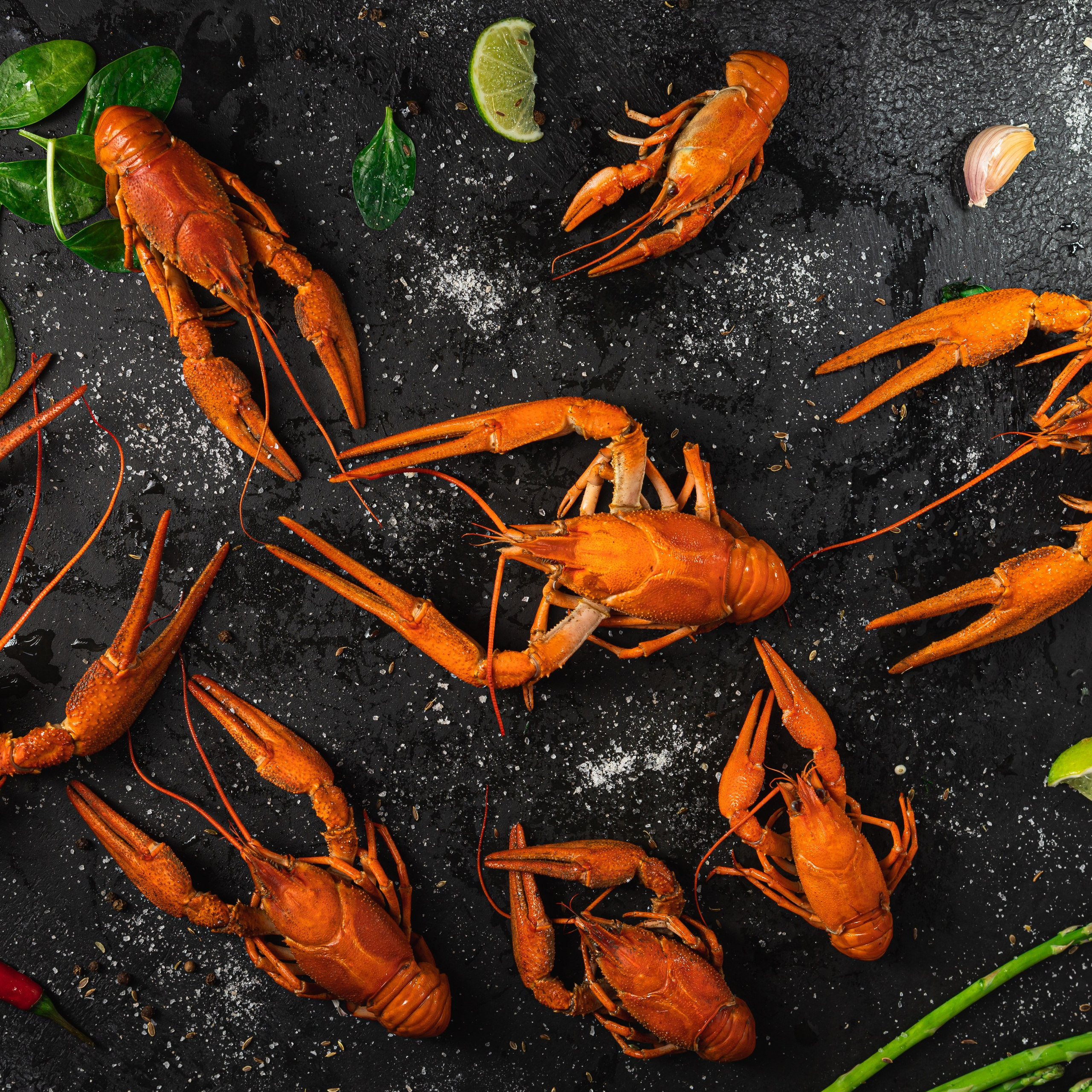 Отзывы. Евгения Морозова фотограф: предметная и ювелирная съемка, фудфото