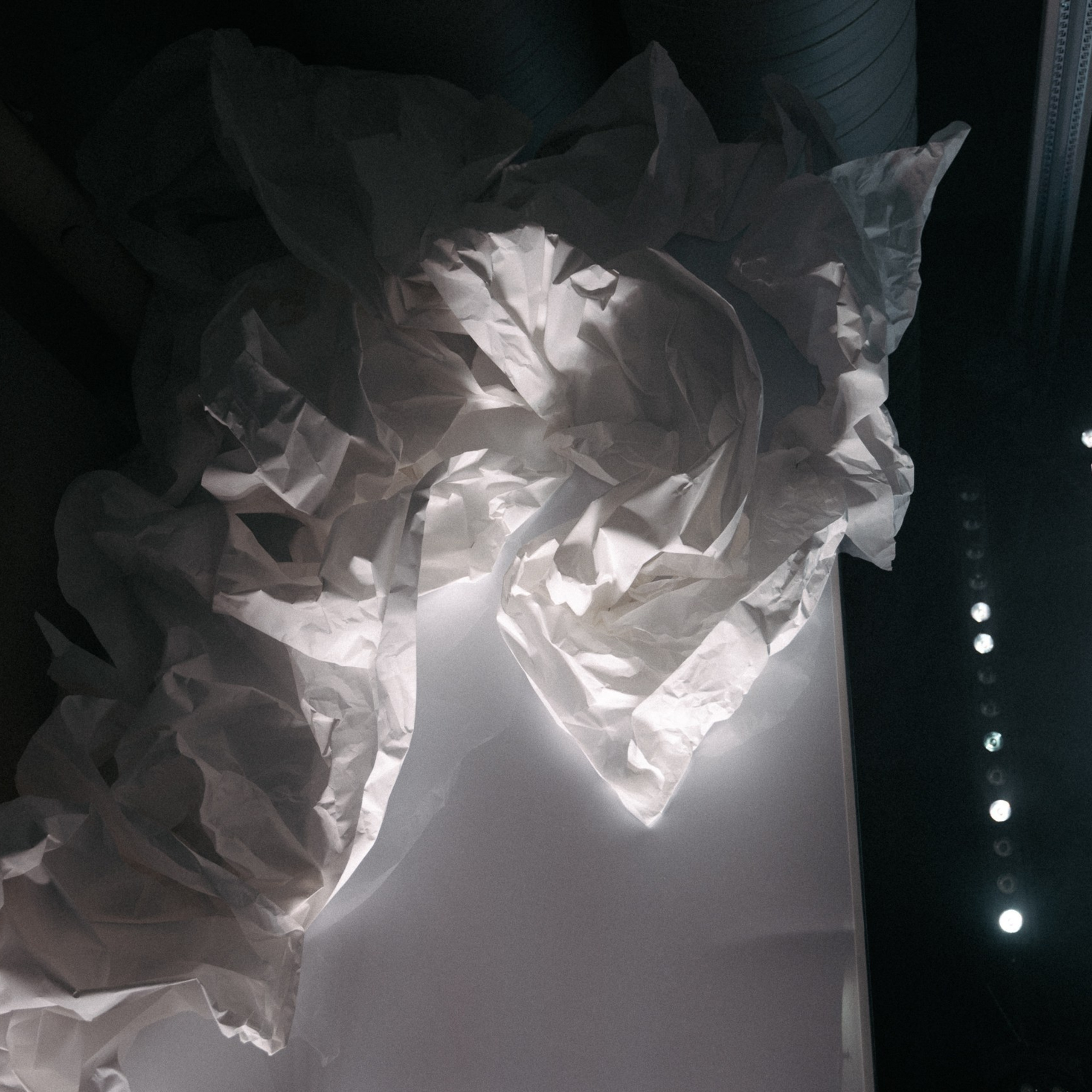 Отзывы. Свадебный фотограф в Рязани Дзюрак Елизавета