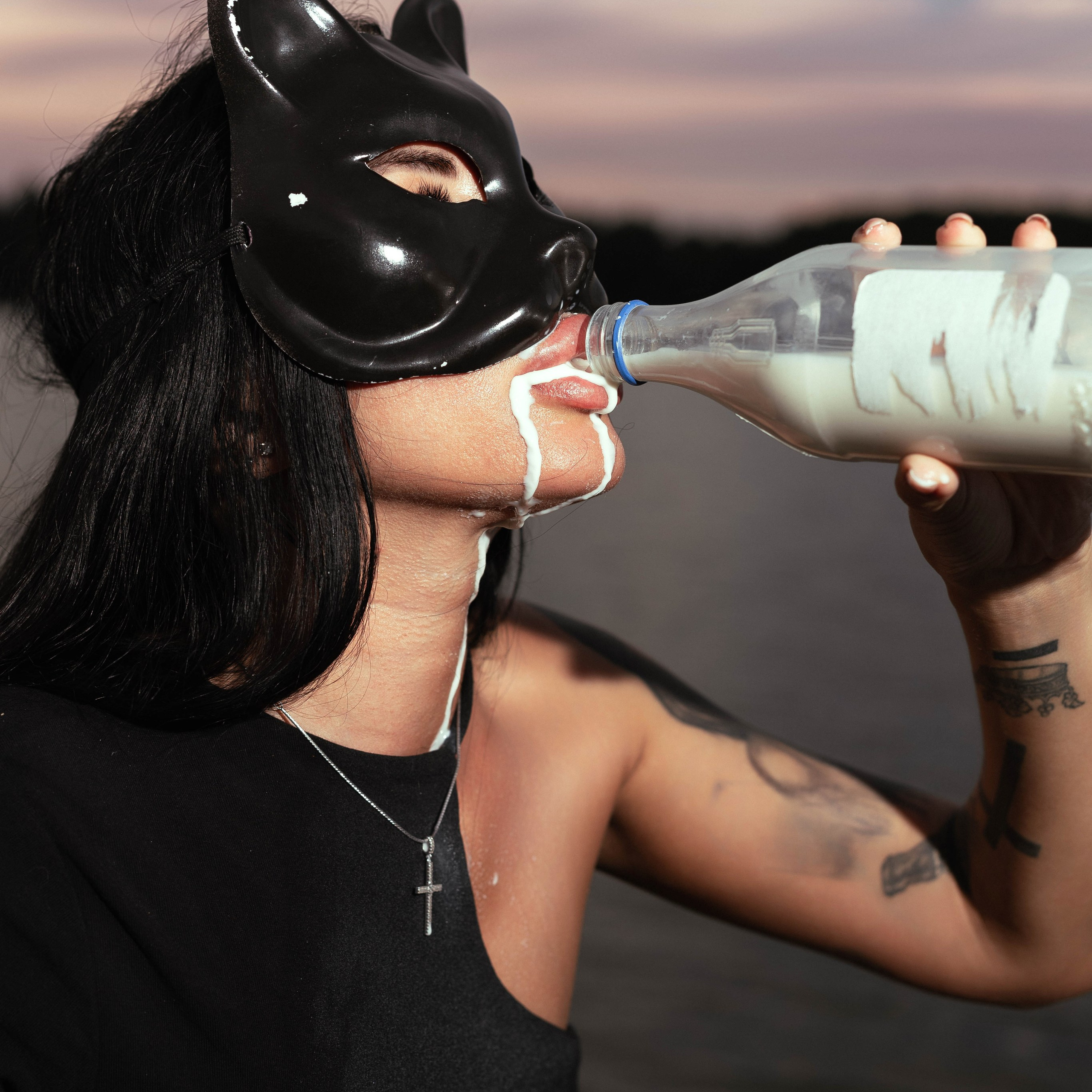 Домашняя кошка — вполне себе дикий зверь