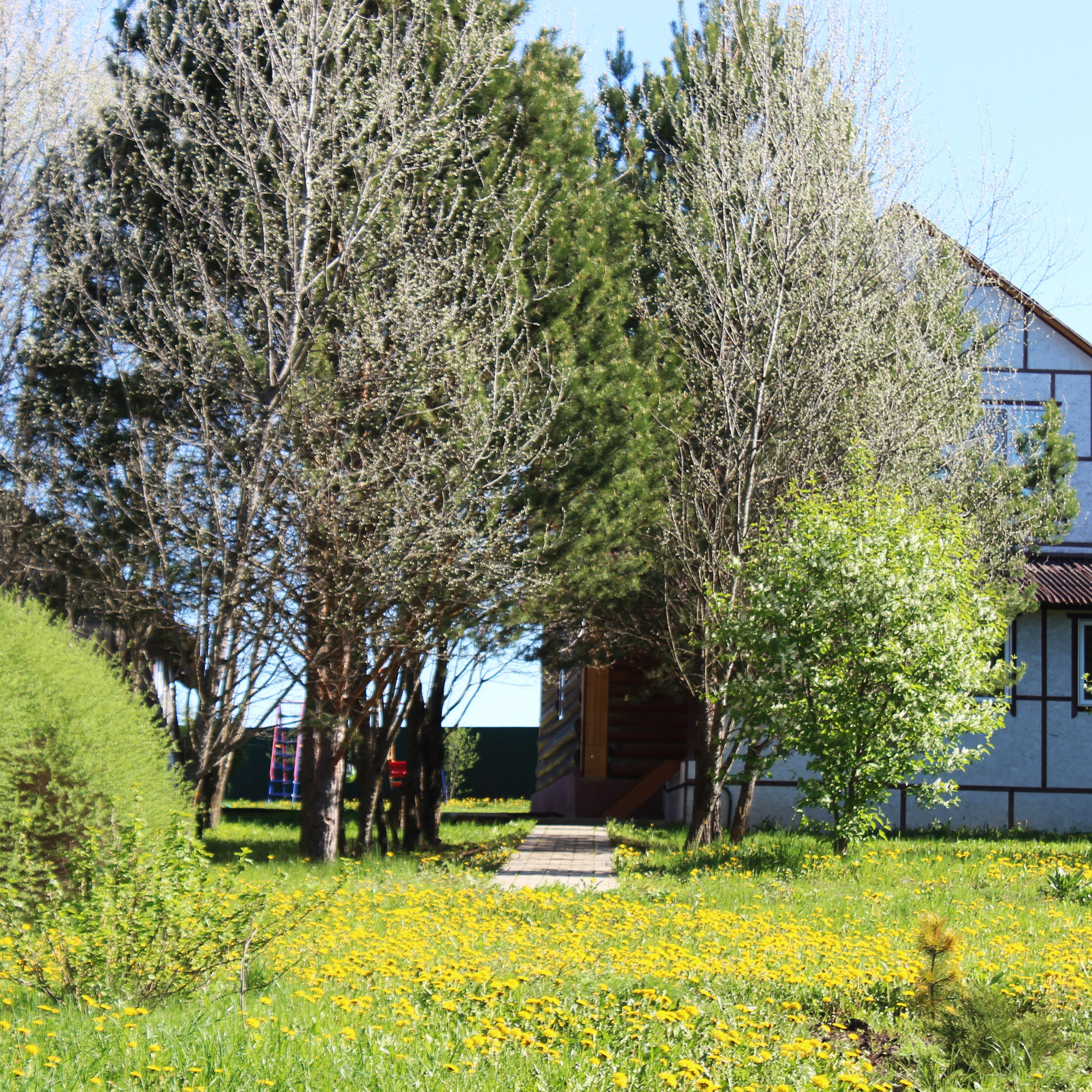 Новости и события Шалово-парк Серебрянные ключи. Оздоровительный комплекс Шалово-парк Серебряные ключи