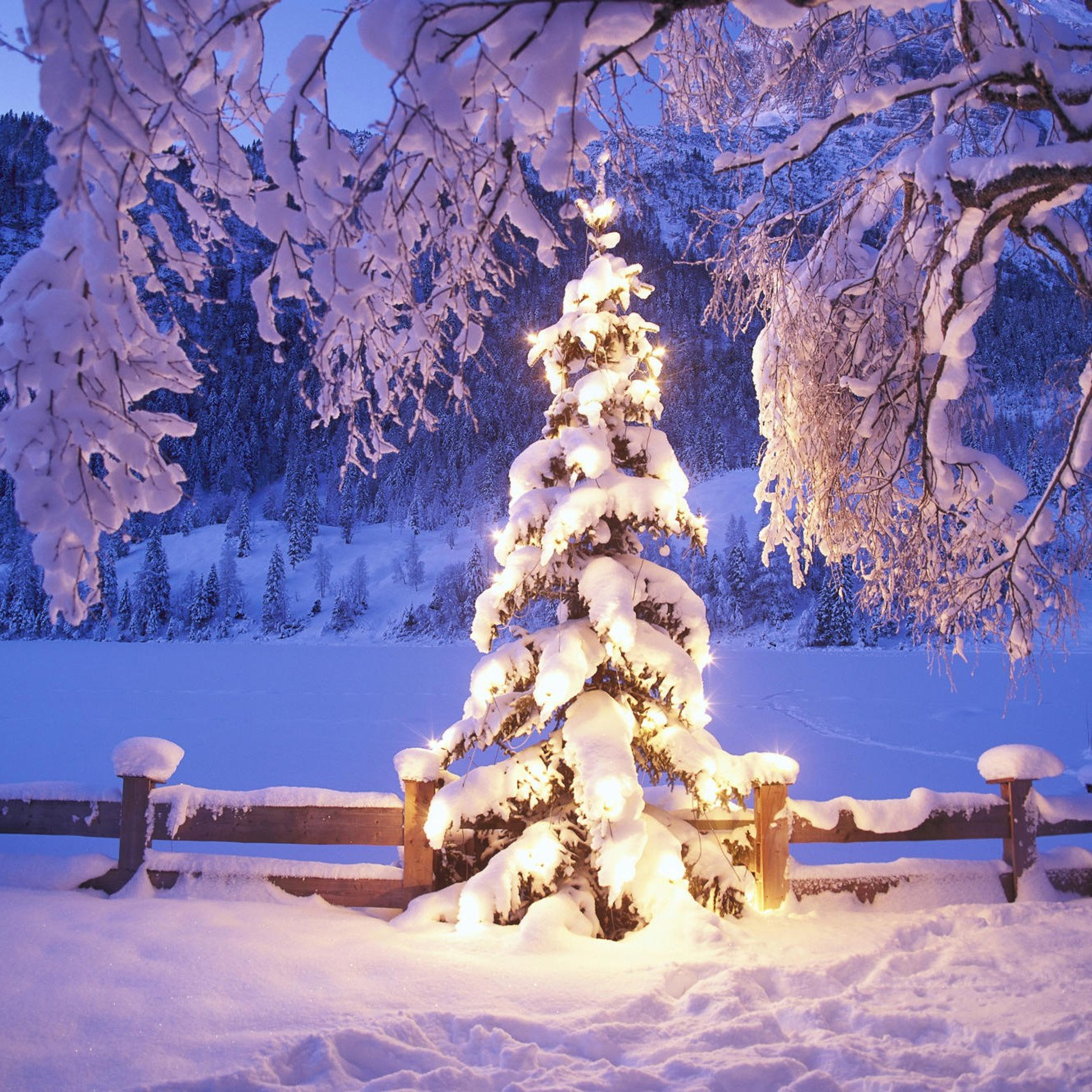 Новости и события Шалово-парк Серебрянные ключи. Оздоровительный комплекс Шалово-парк Серебряные ключи