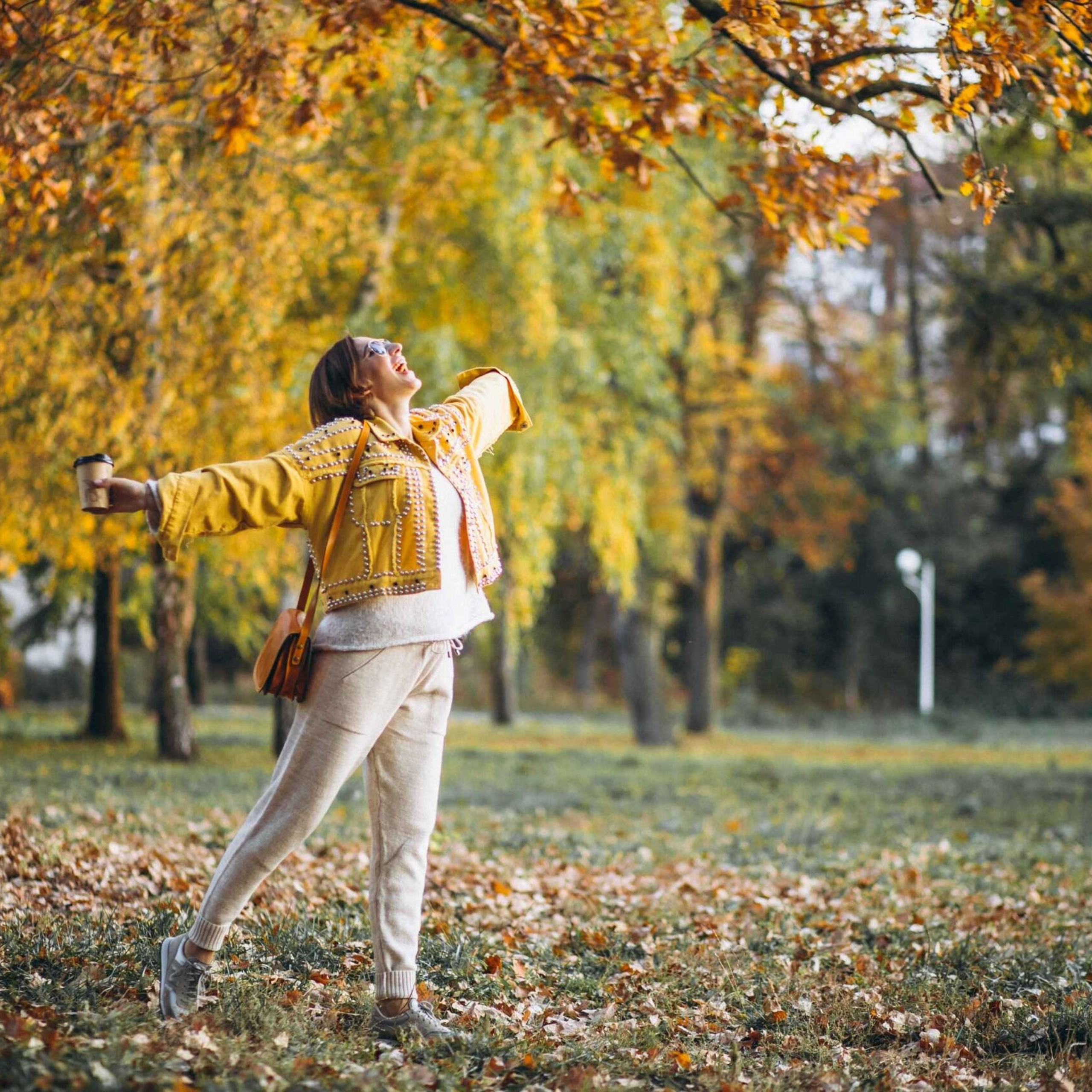 Новости и события Шалово-парк Серебрянные ключи. Оздоровительный комплекс Шалово-парк Серебряные ключи