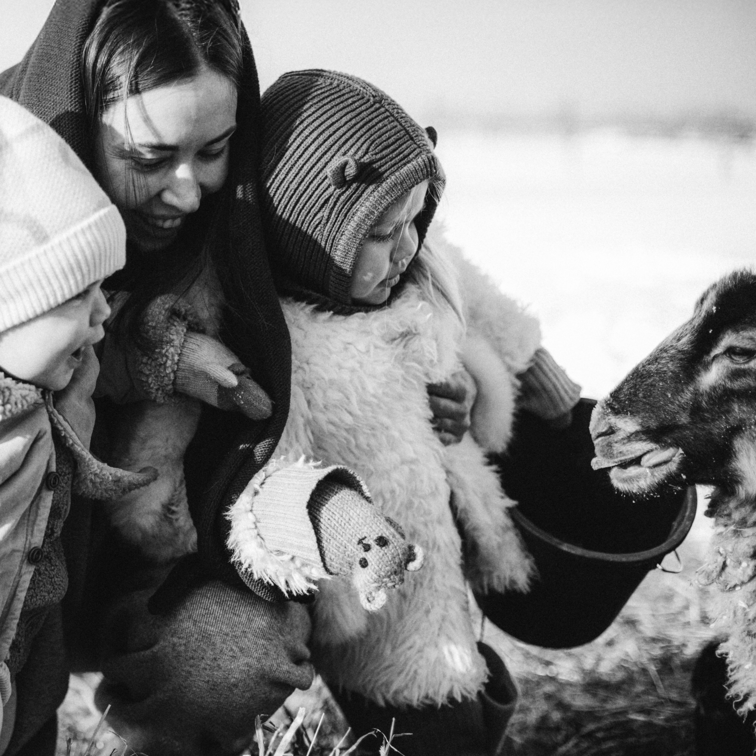 Настя с Сашей и Полей на ферме