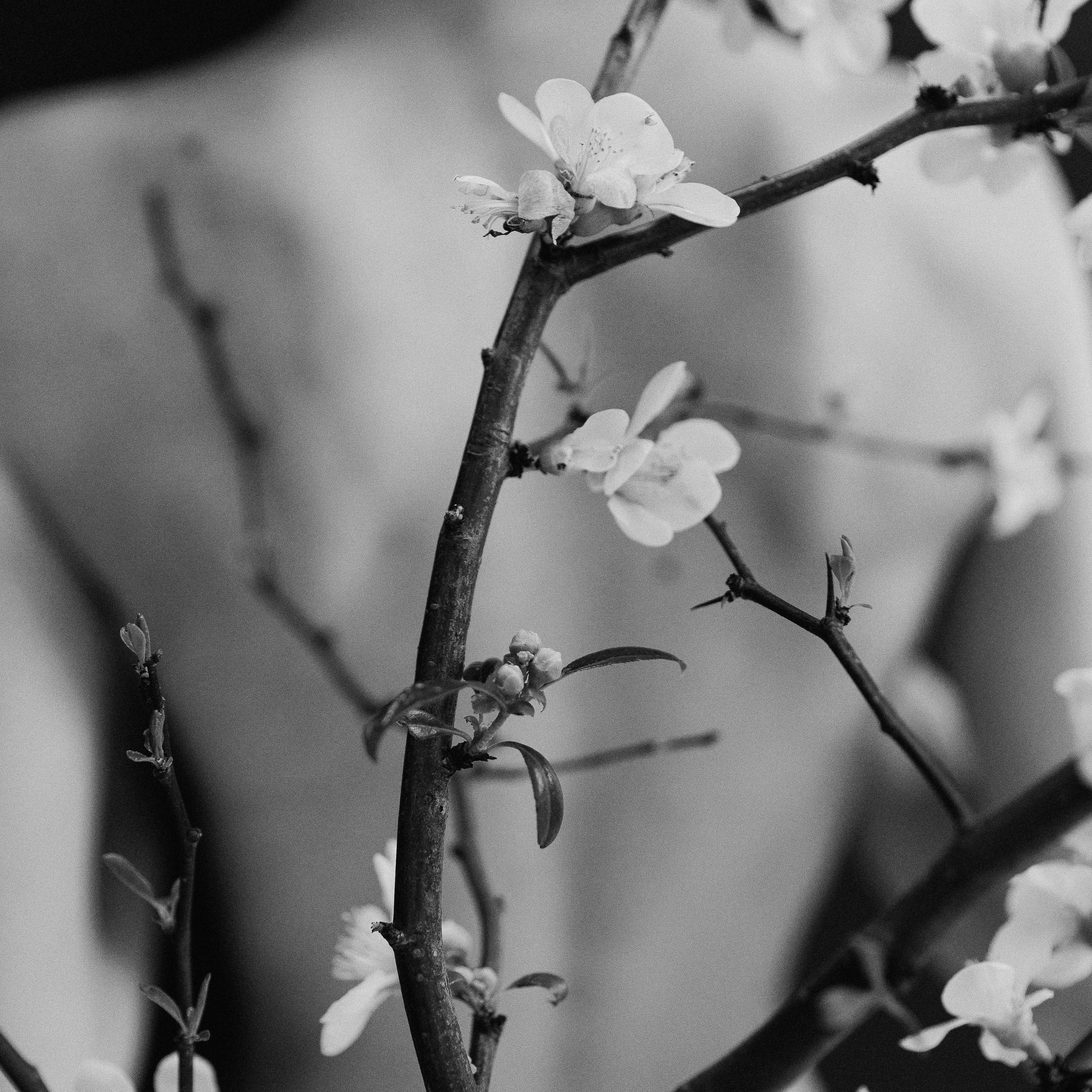 Фотограф в Москве Людмила Малова