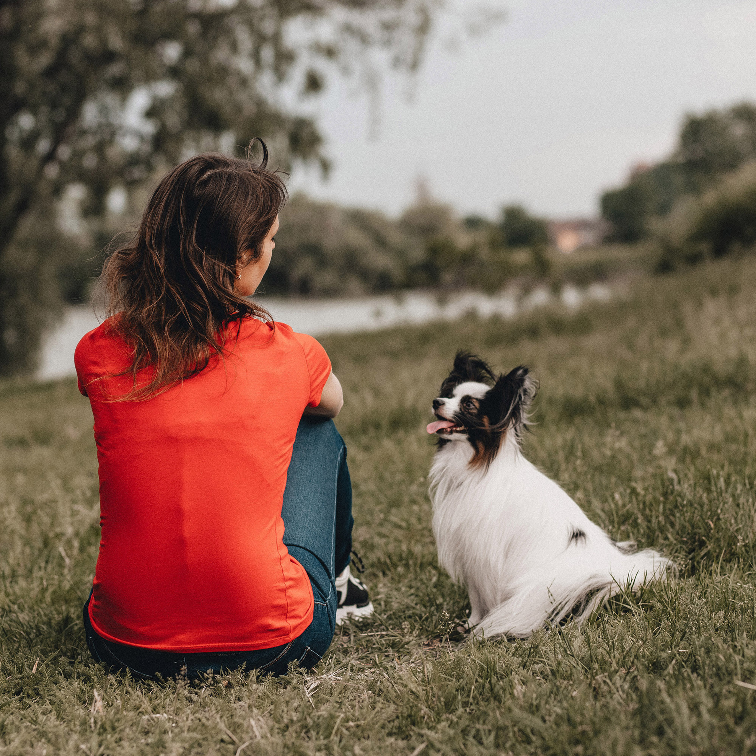 Контент для папильона Пушкина. Фотограф в Краснодаре Алена Соколовская