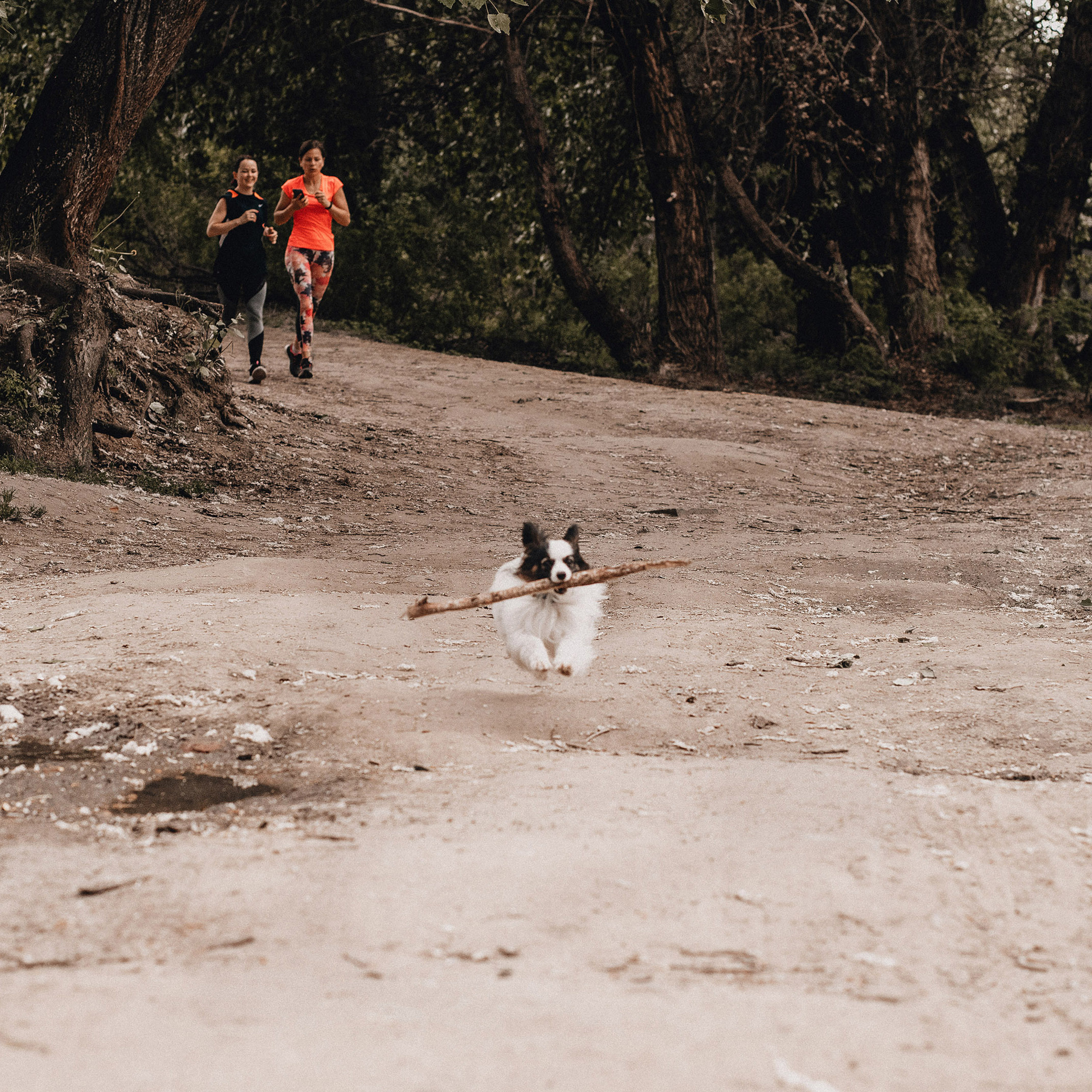 Контент для папильона Пушкина. Фотограф в Краснодаре Алена Соколовская