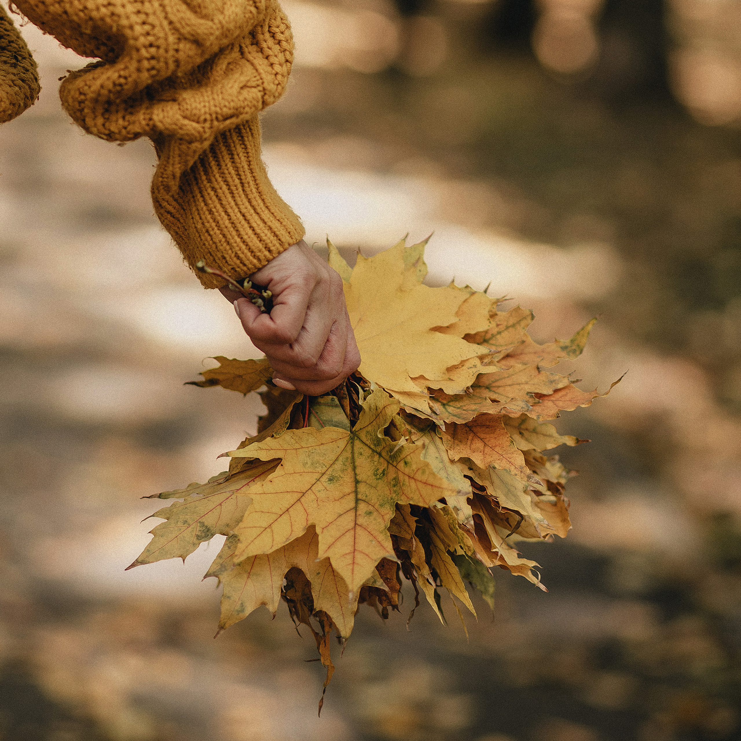 Контент астролога. Фотограф в Краснодаре Алена Соколовская