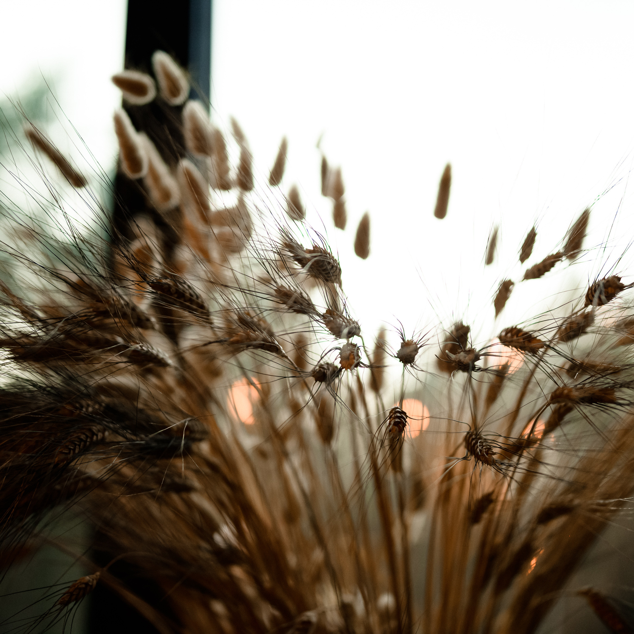 Рожденные свободными!. Dmitry Unik — ваш стильный фотограф