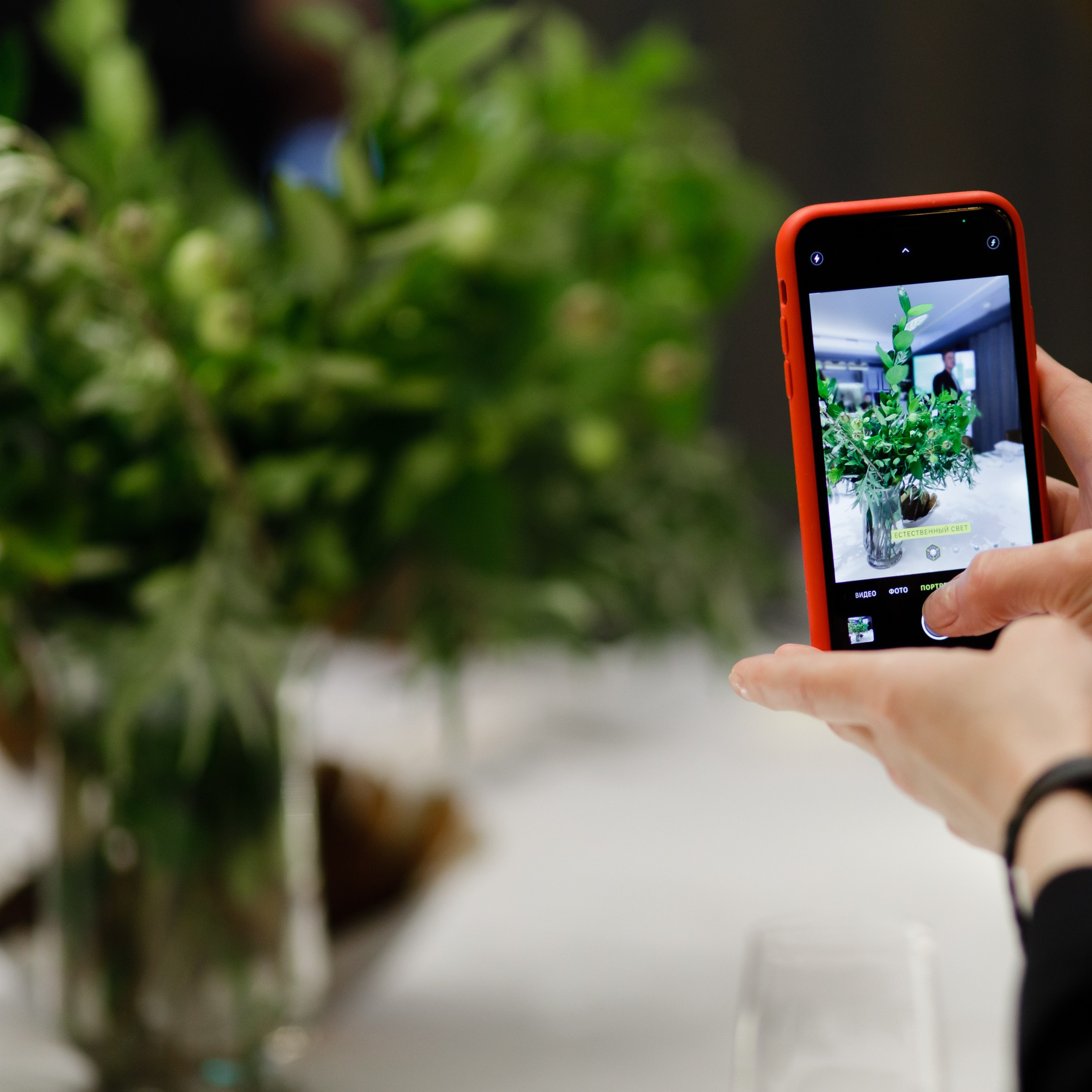 SkinCeuticals БРАНЧ. Dmitry Unik — ваш стильный фотограф