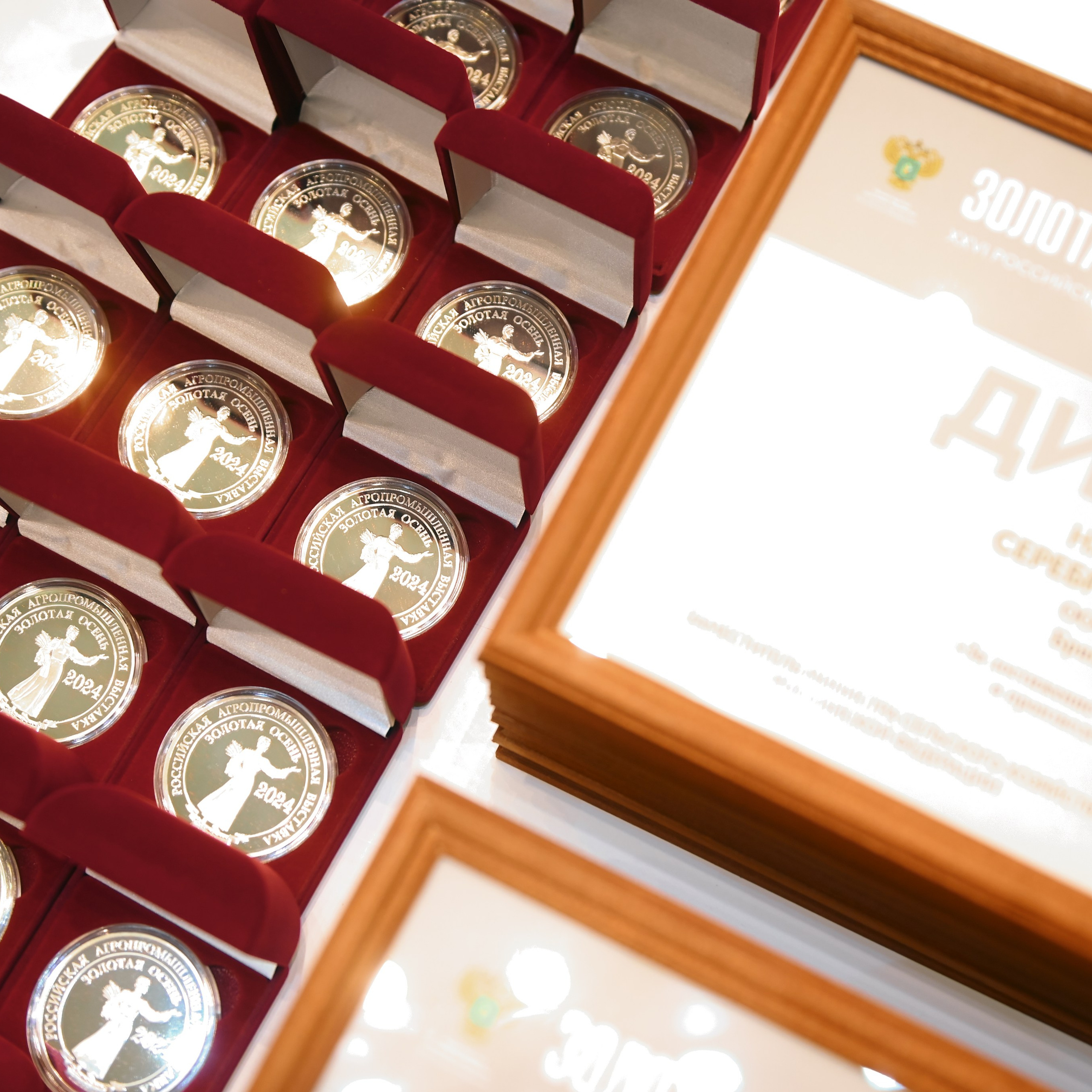 ЗОЛОТАЯ ОСЕНЬ 2024. Dmitry Unik — ваш стильный фотограф