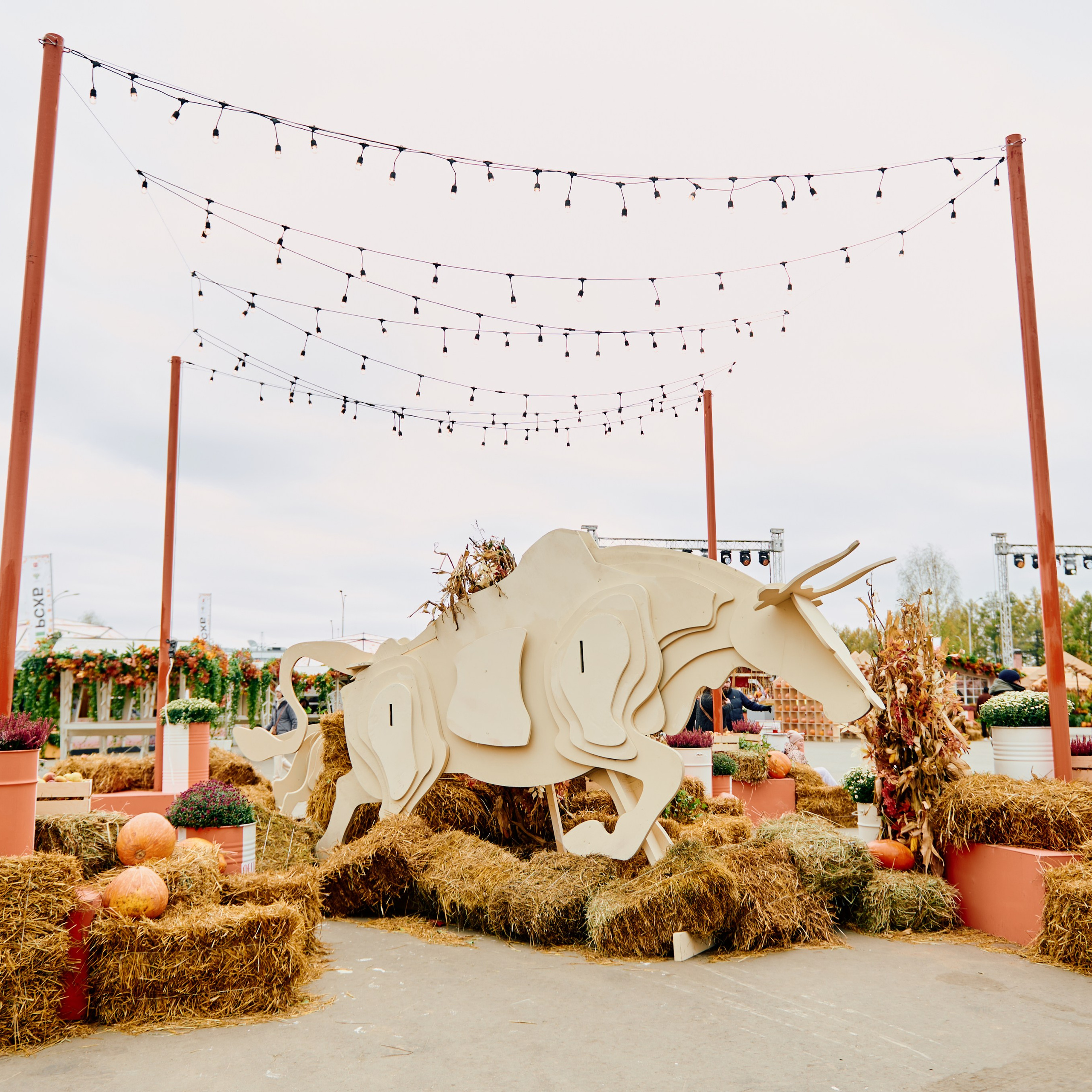 ЗОЛОТАЯ ОСЕНЬ 2024. Dmitry Unik — ваш стильный фотограф