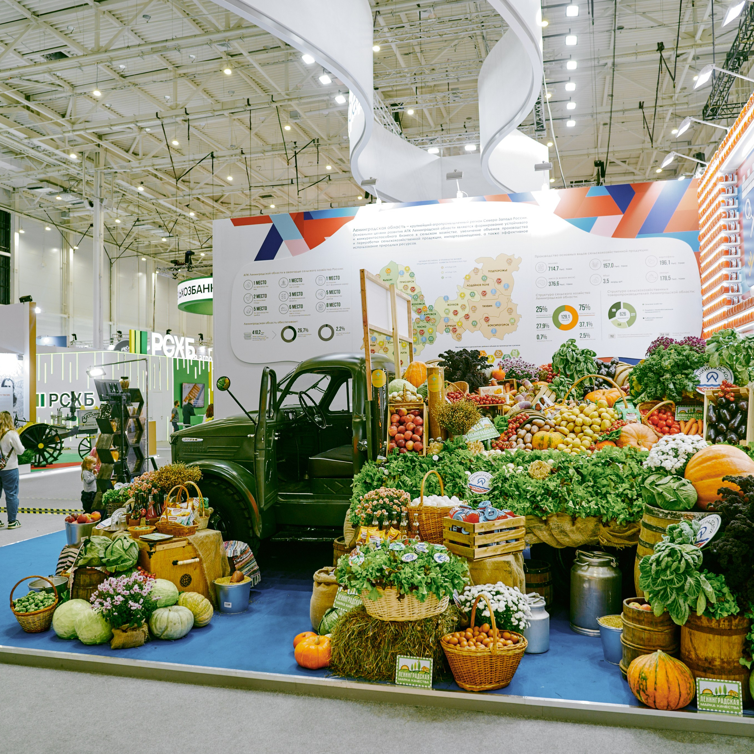 ЗОЛОТАЯ ОСЕНЬ 2024. Dmitry Unik — ваш стильный фотограф