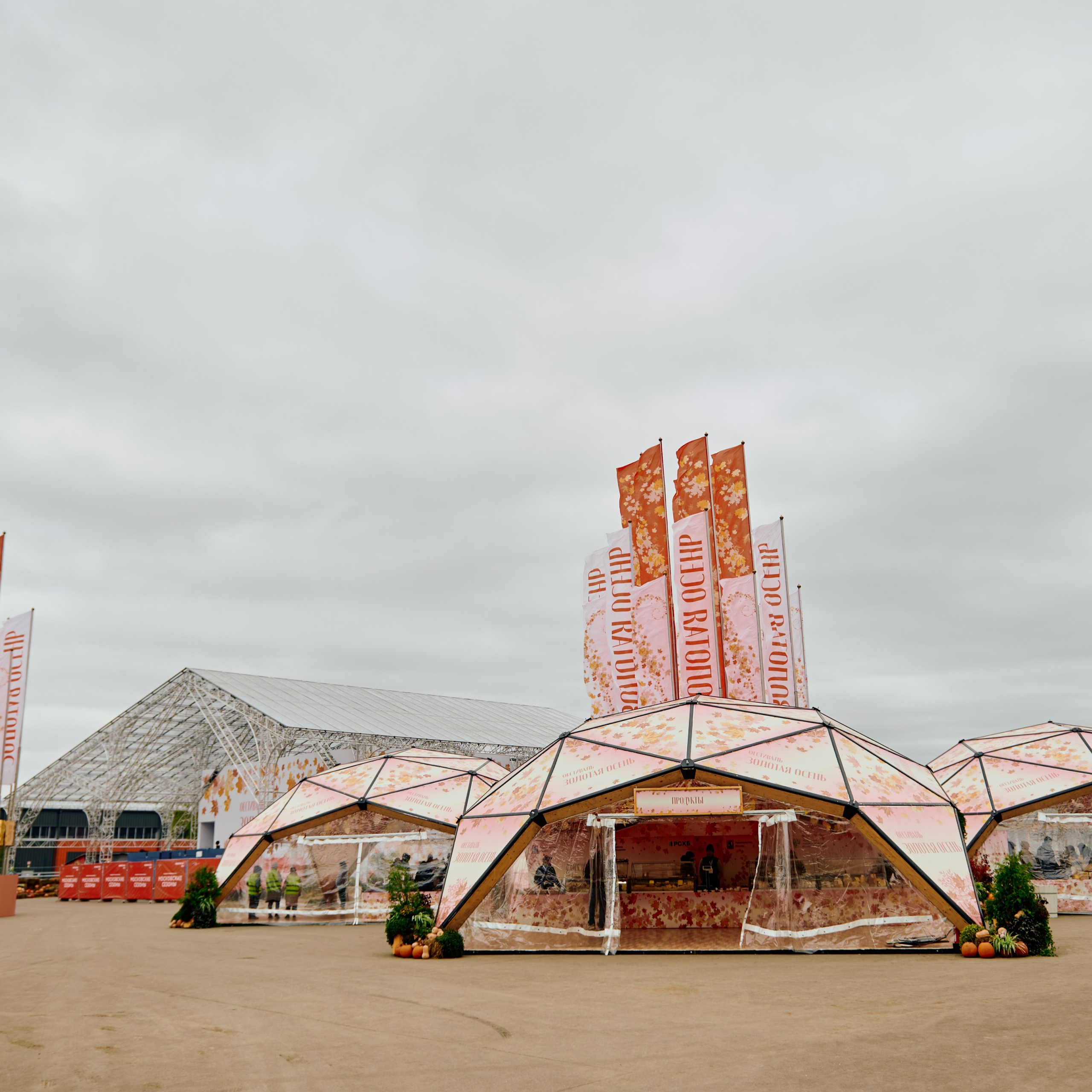 ЗОЛОТАЯ ОСЕНЬ 2024. Dmitry Unik — ваш стильный фотограф