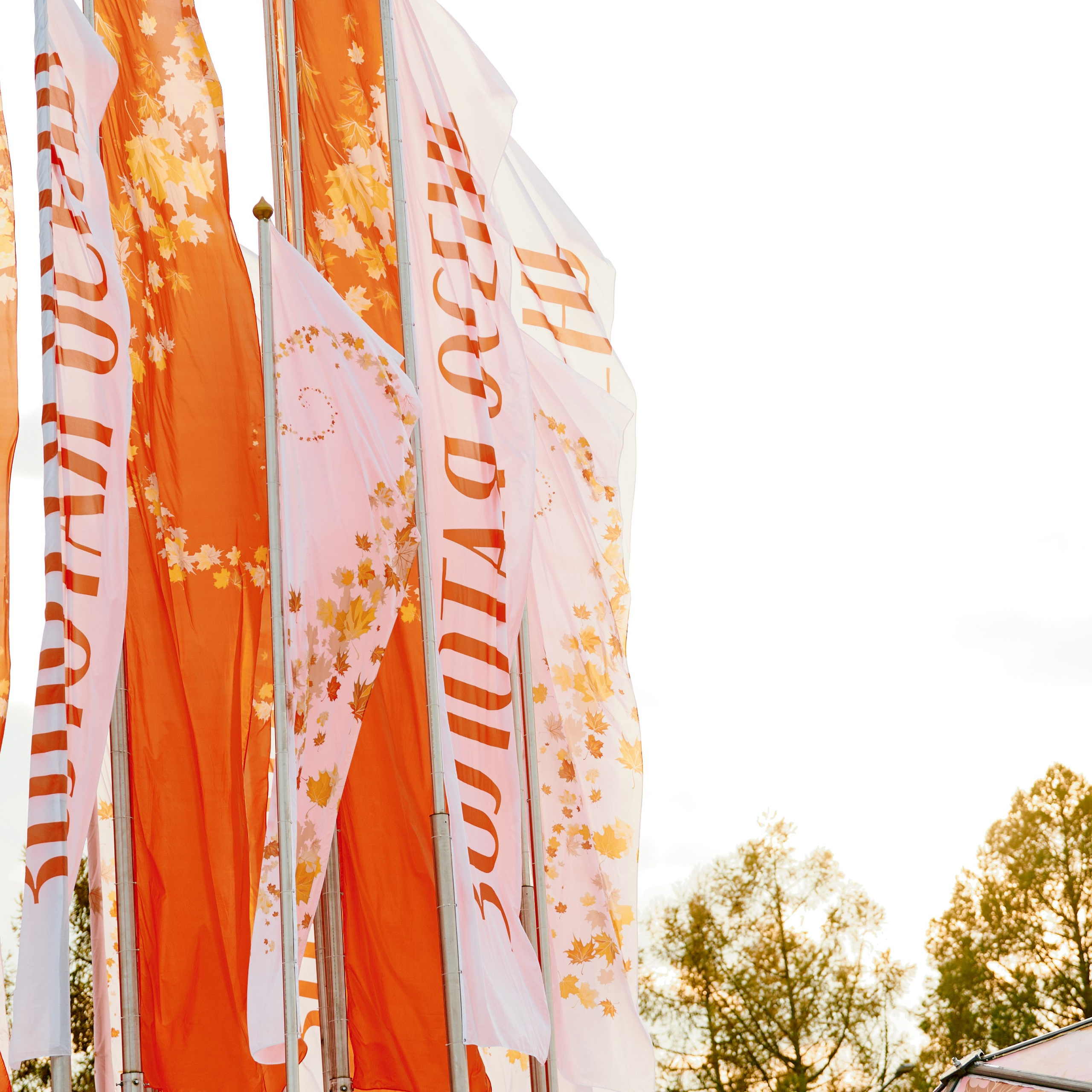 ЗОЛОТАЯ ОСЕНЬ 2024. Dmitry Unik — ваш стильный фотограф