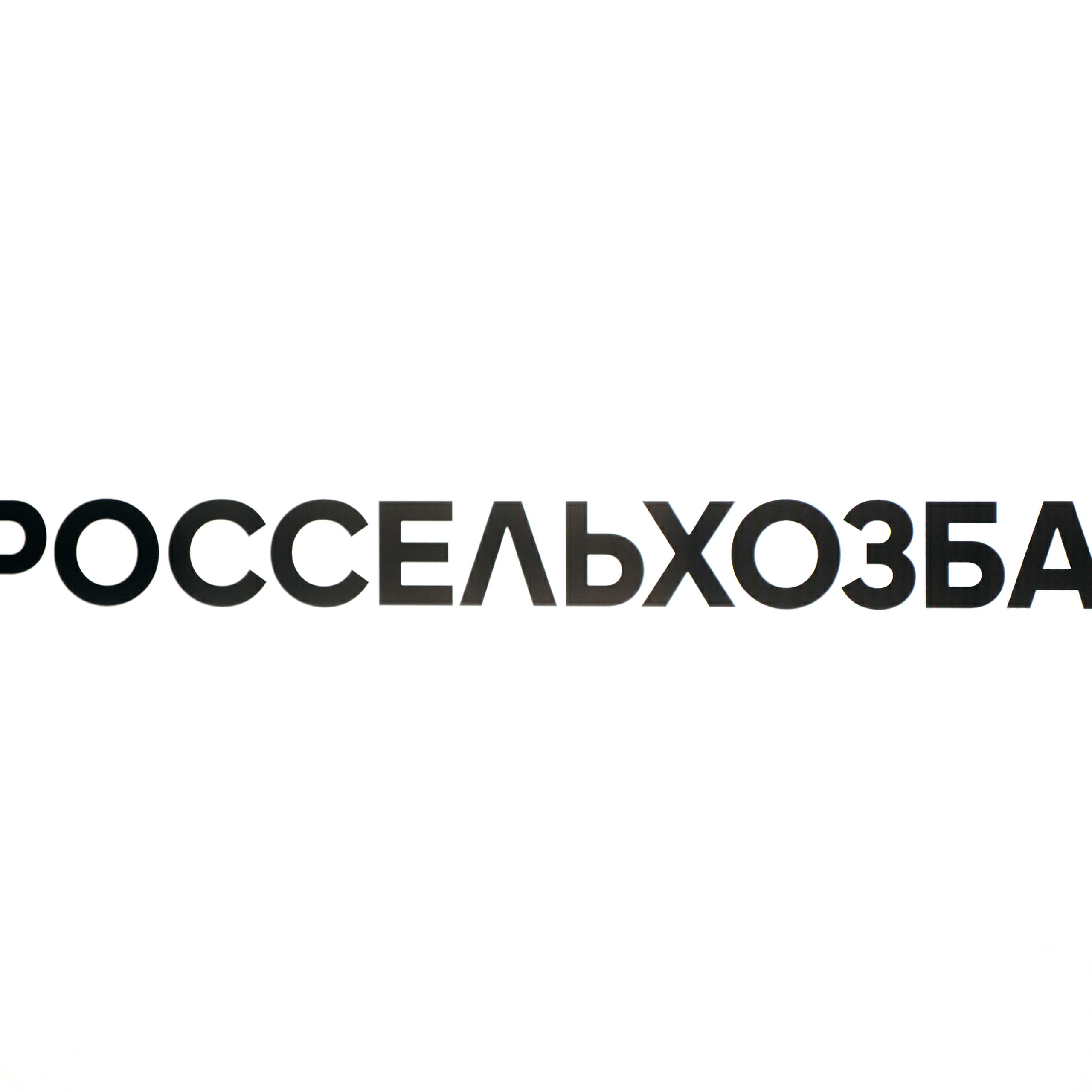 ЗОЛОТАЯ ОСЕНЬ 2024. Dmitry Unik — ваш стильный фотограф