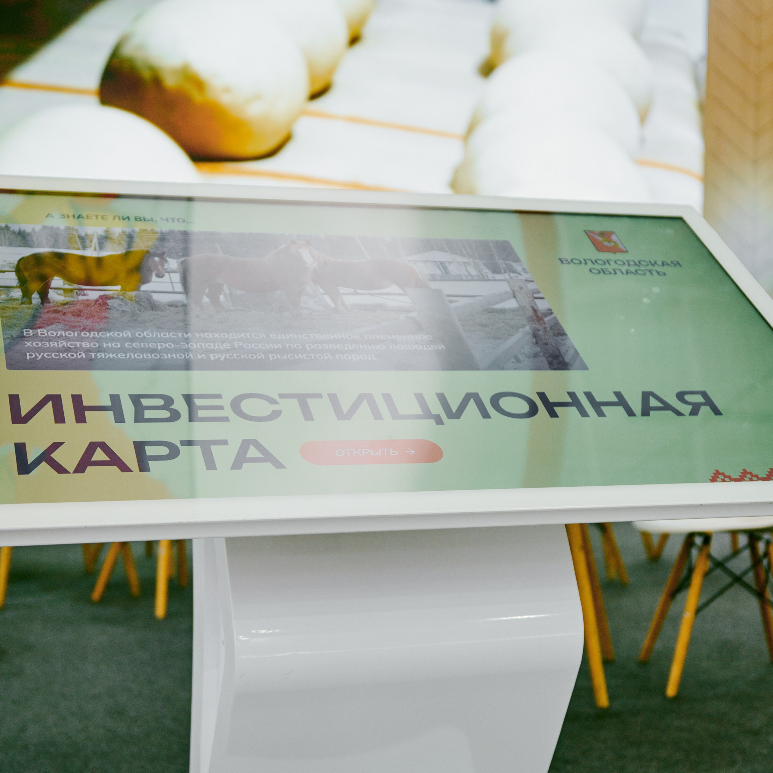 ЗОЛОТАЯ ОСЕНЬ 2024. Dmitry Unik — ваш стильный фотограф