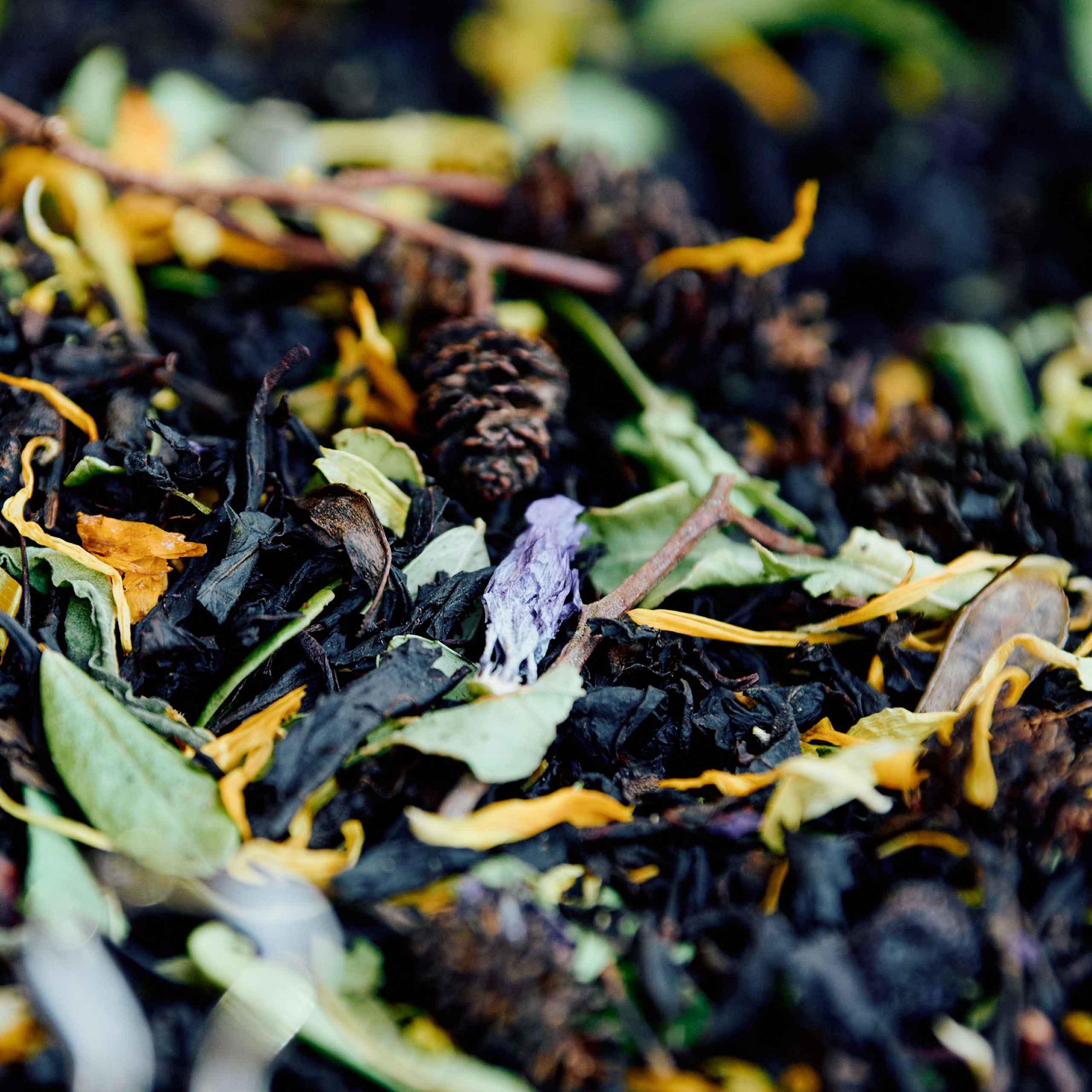 ЗОЛОТАЯ ОСЕНЬ 2024. Dmitry Unik — ваш стильный фотограф