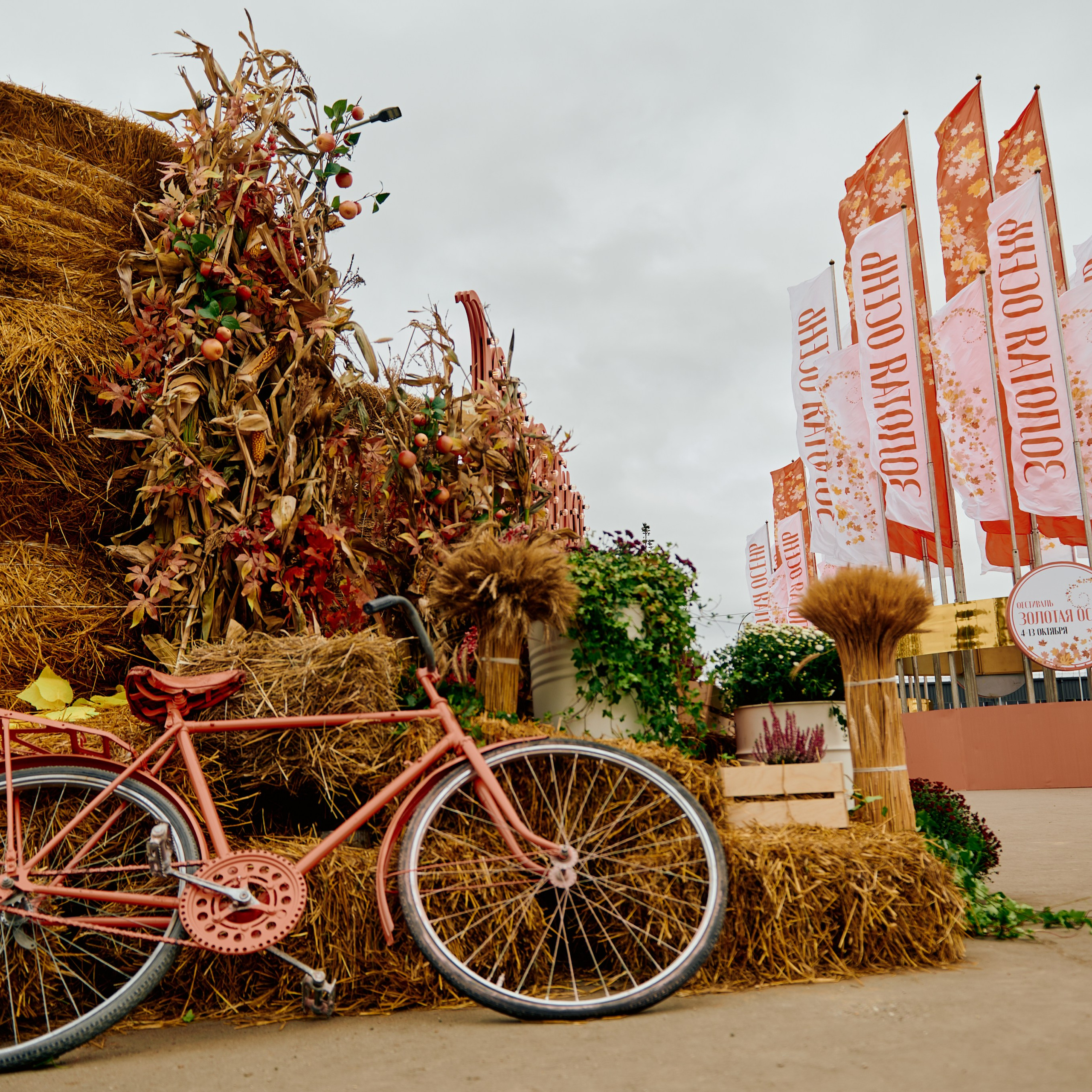 ЗОЛОТАЯ ОСЕНЬ 2024. Dmitry Unik — ваш стильный фотограф