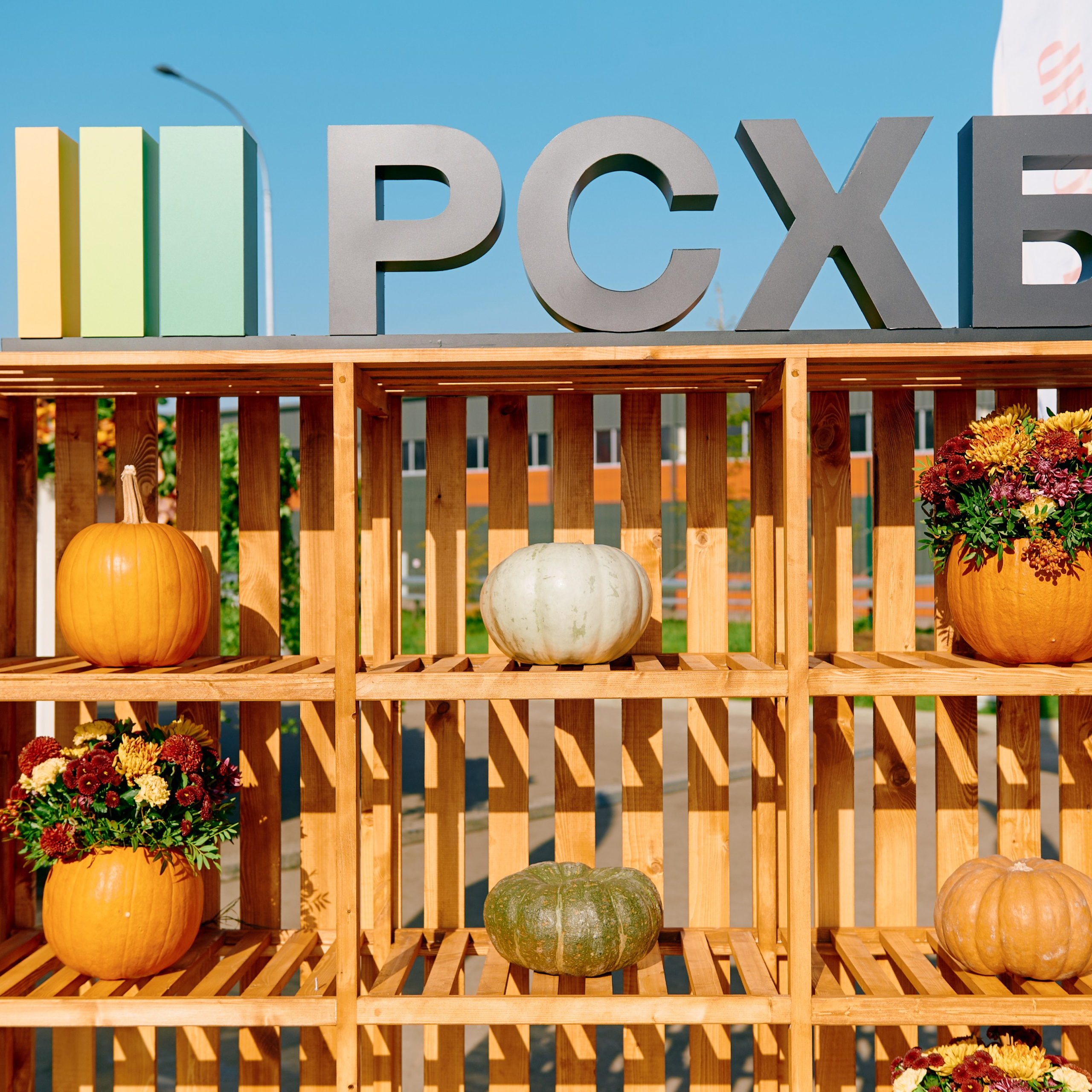 ЗОЛОТАЯ ОСЕНЬ 2024. Dmitry Unik — ваш стильный фотограф