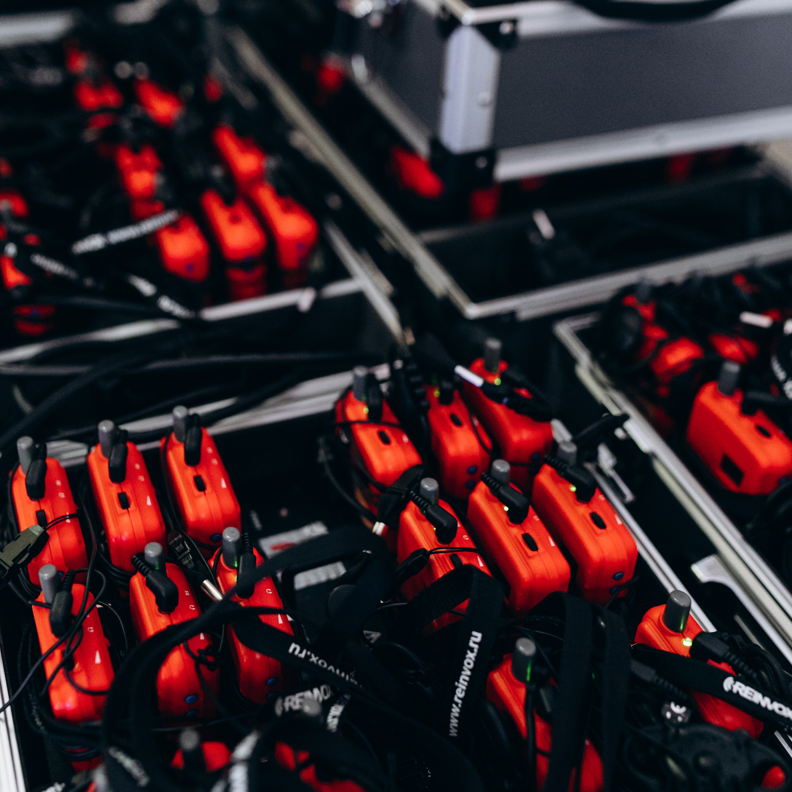 Марлиз Деккерс Feminist. Dmitry Unik — ваш стильный фотограф