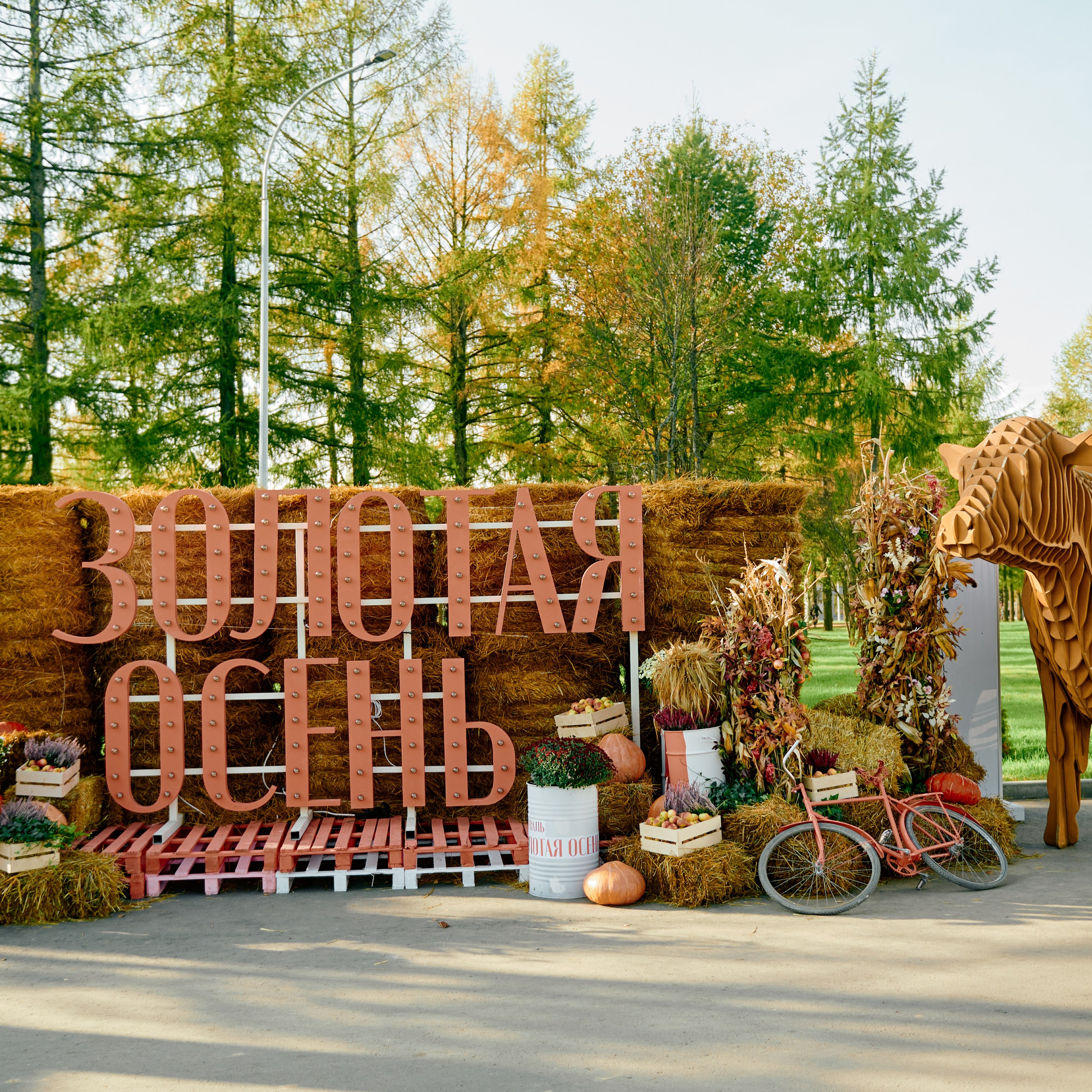 ЗОЛОТАЯ ОСЕНЬ 2024. Dmitry Unik — ваш стильный фотограф