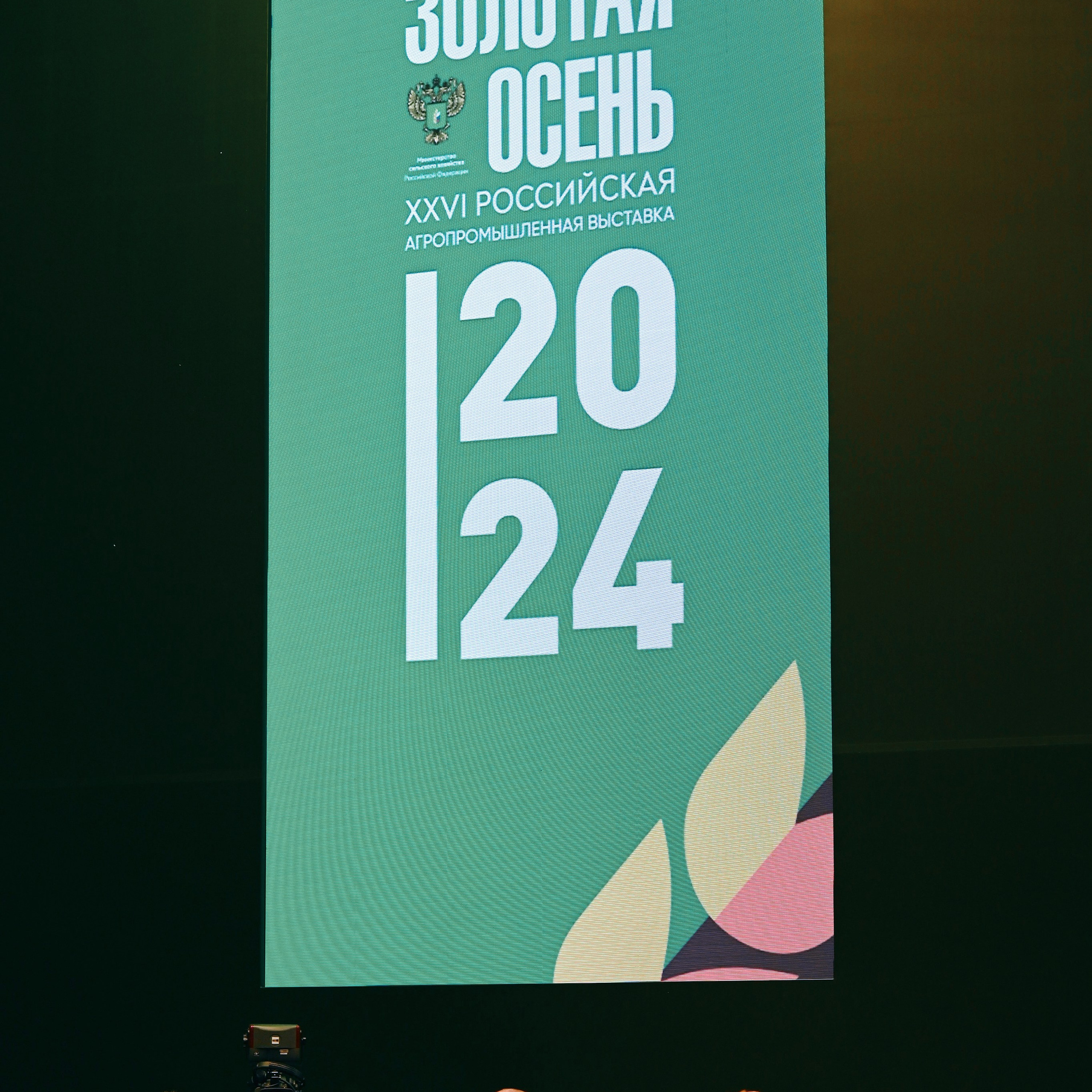 ЗОЛОТАЯ ОСЕНЬ 2024. Dmitry Unik — ваш стильный фотограф