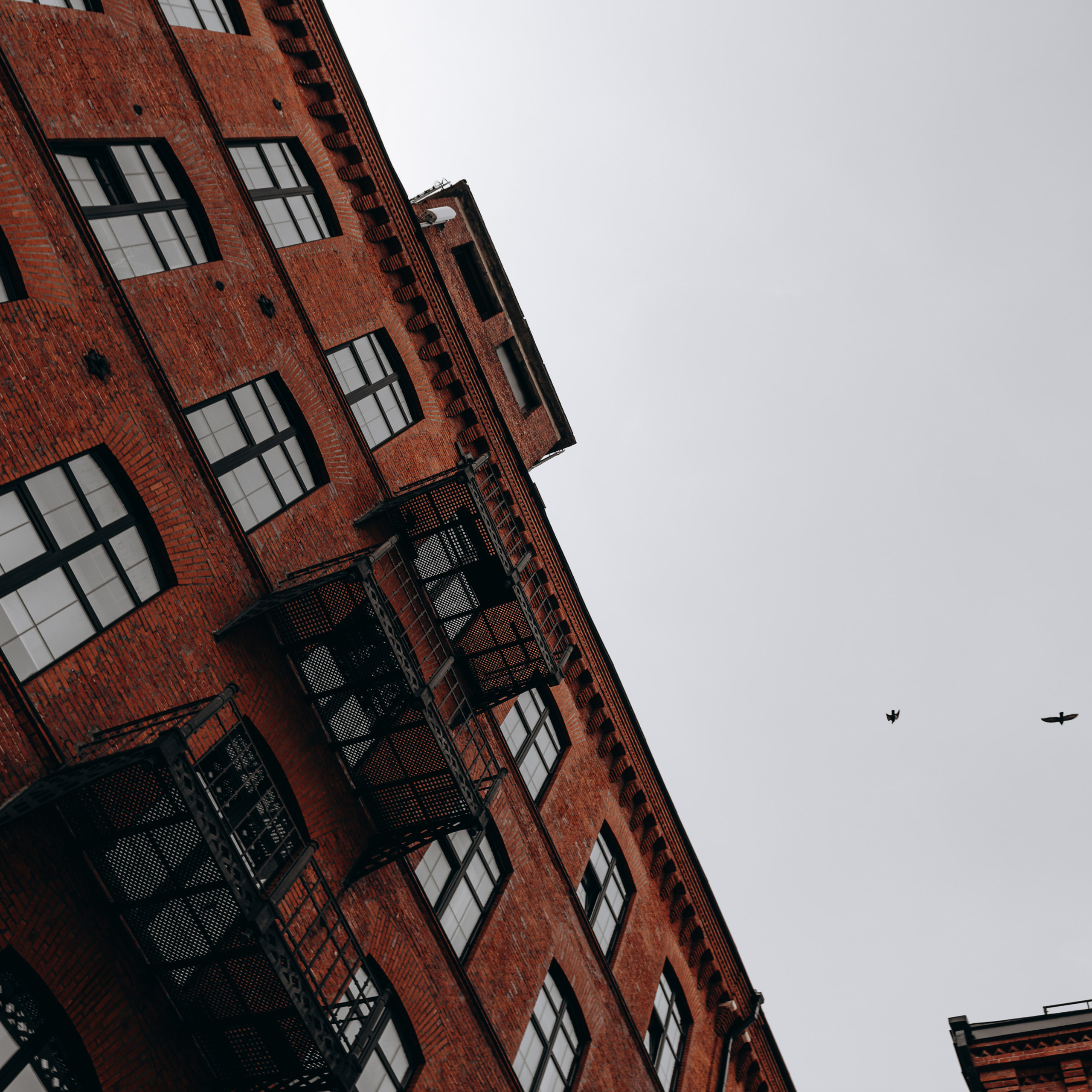 Вика - это все еще цветочки ...!. Dmitry Unik — ваш стильный фотограф