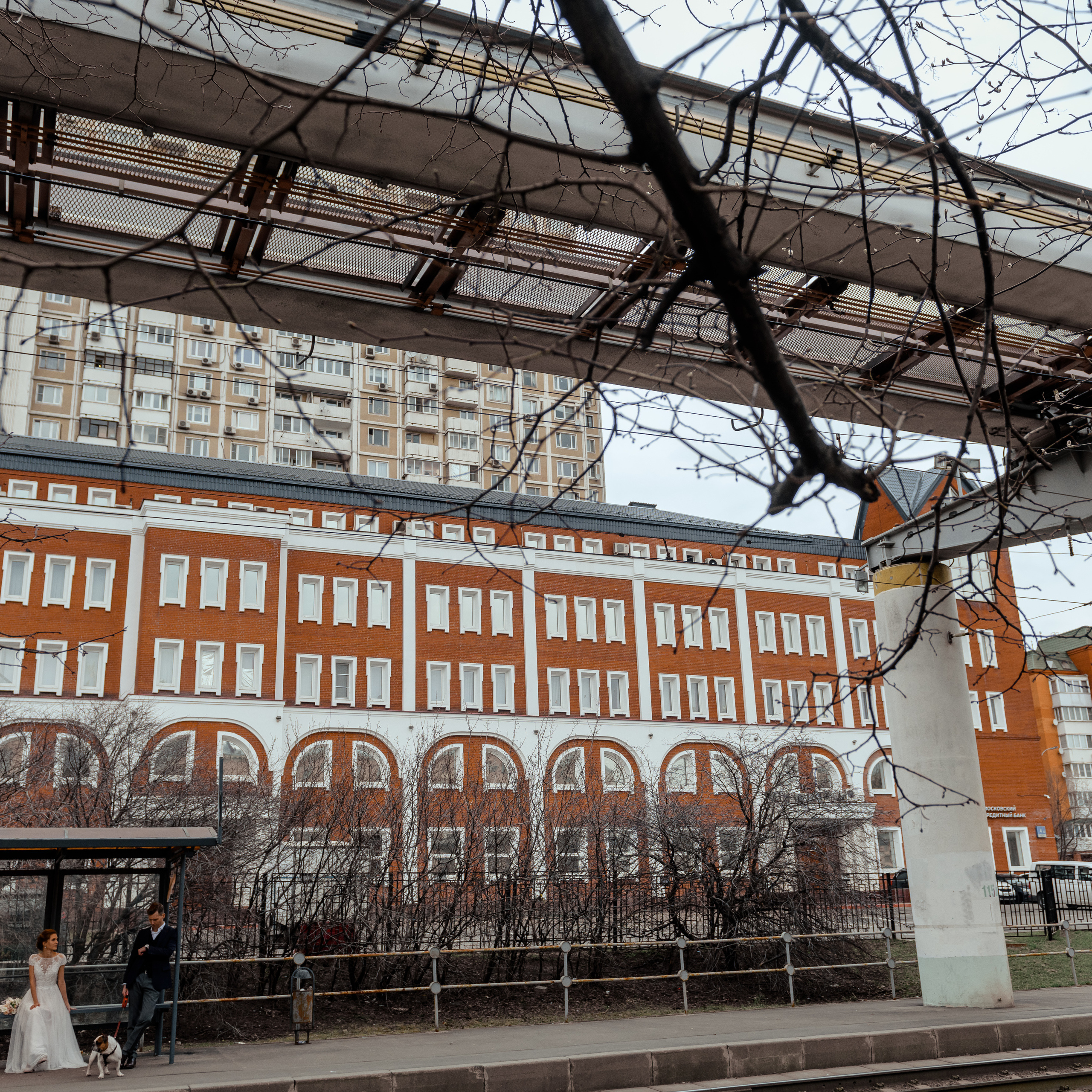 Ранний лепесток. Dmitry Unik — ваш стильный фотограф