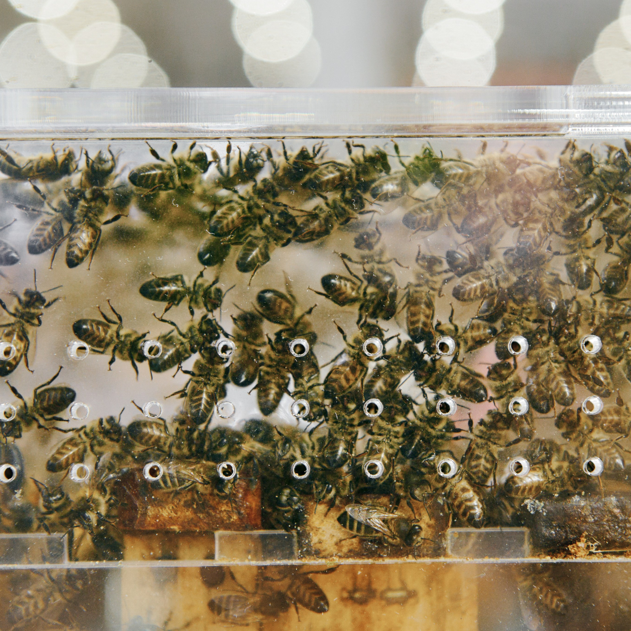 ЗОЛОТАЯ ОСЕНЬ 2024. Dmitry Unik — ваш стильный фотограф