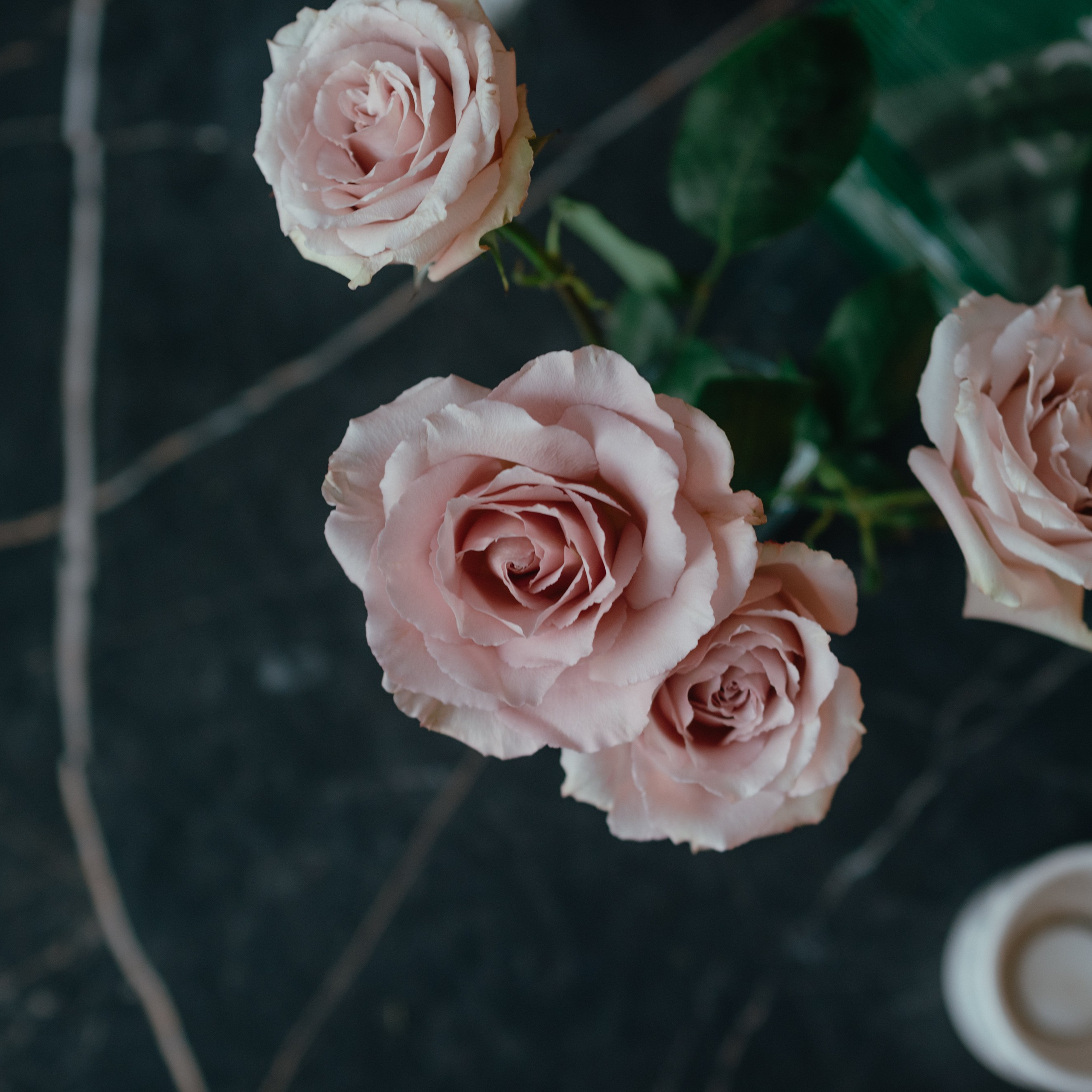 Отзывы. Фотограф Элина Брусенцева