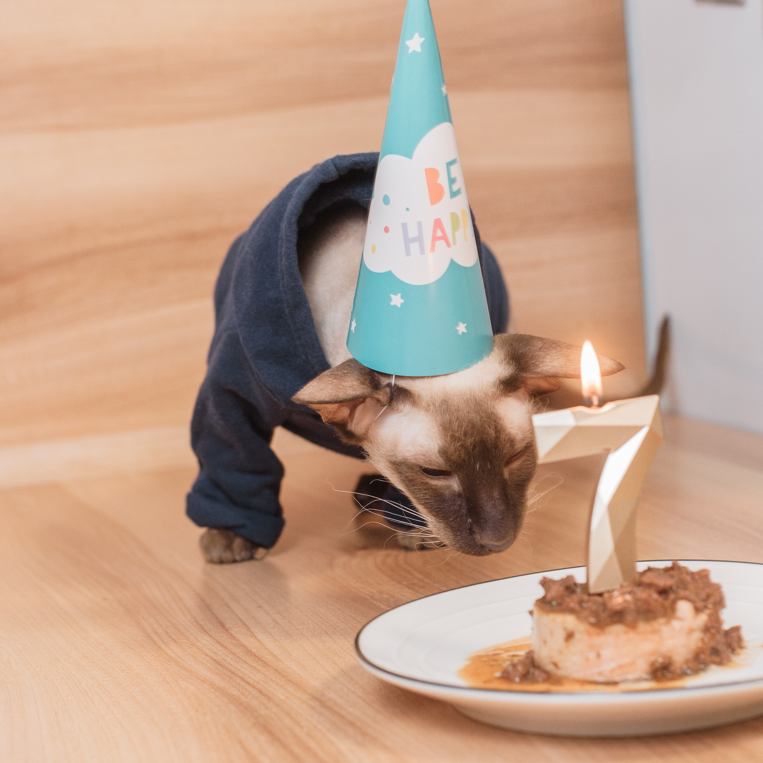 Отзывы. Фотограф Элина Брусенцева