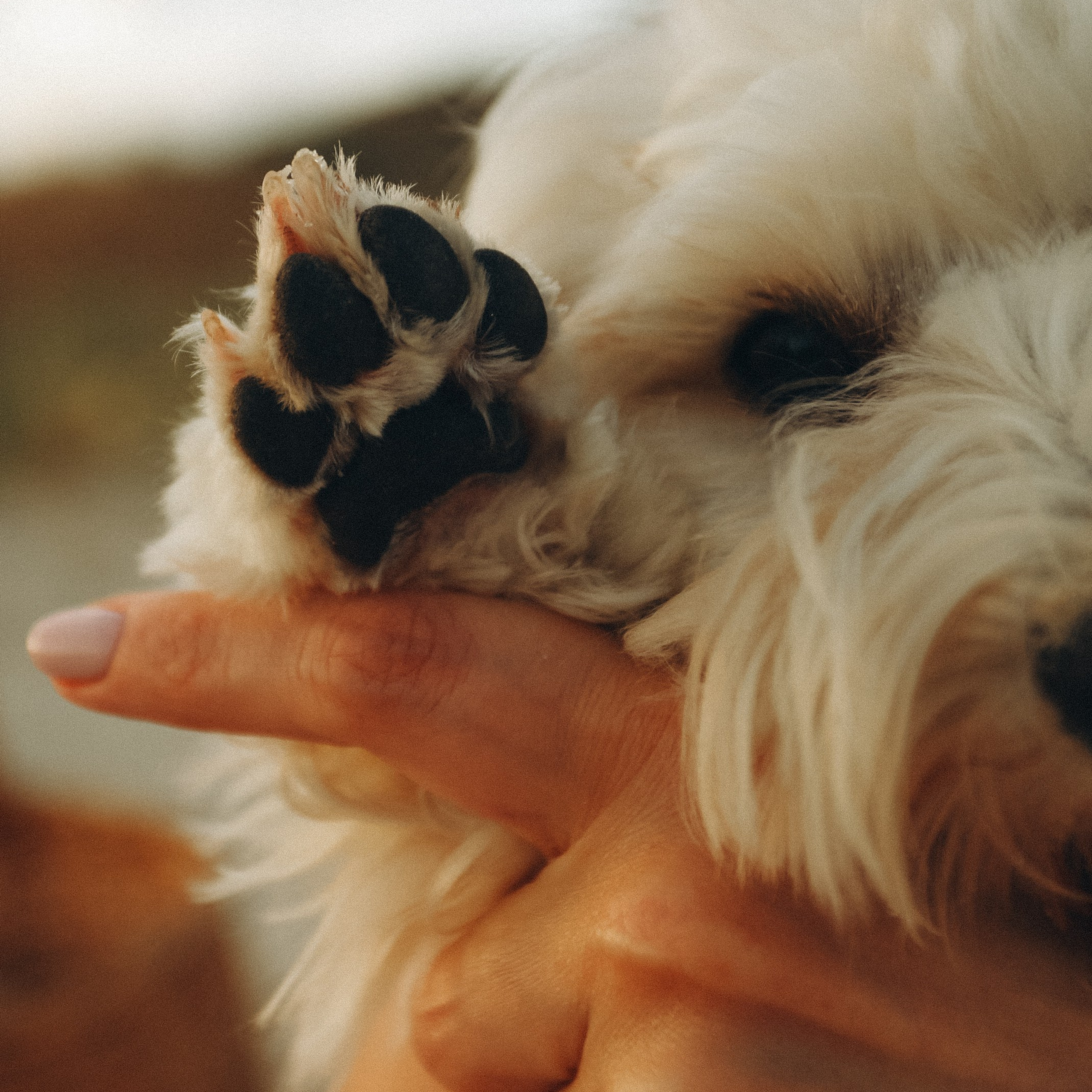 Пикник мамы Жени, Артема и Ксюши