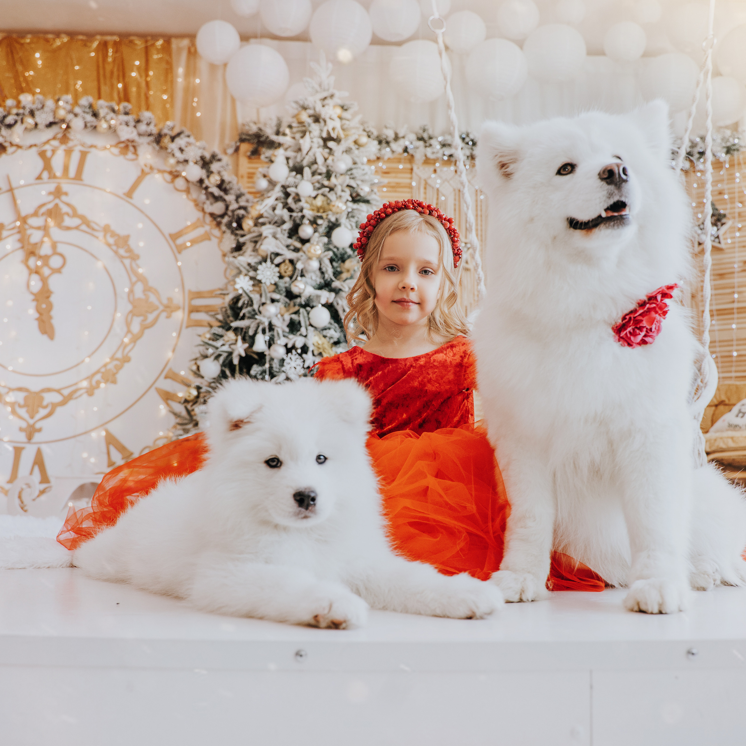 С самоедами